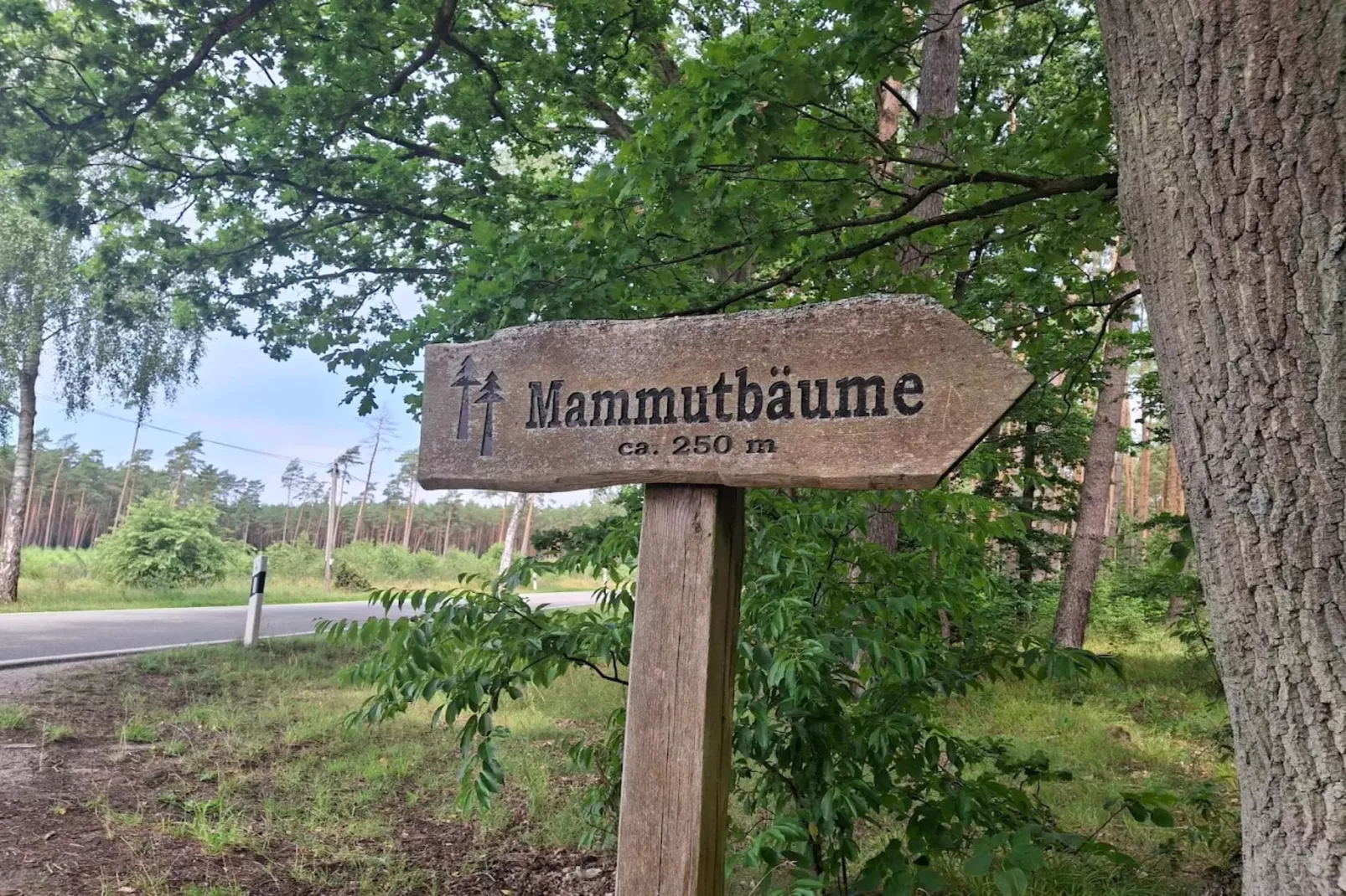 Chalet - 3 Personen-Gebieden zomer 20km