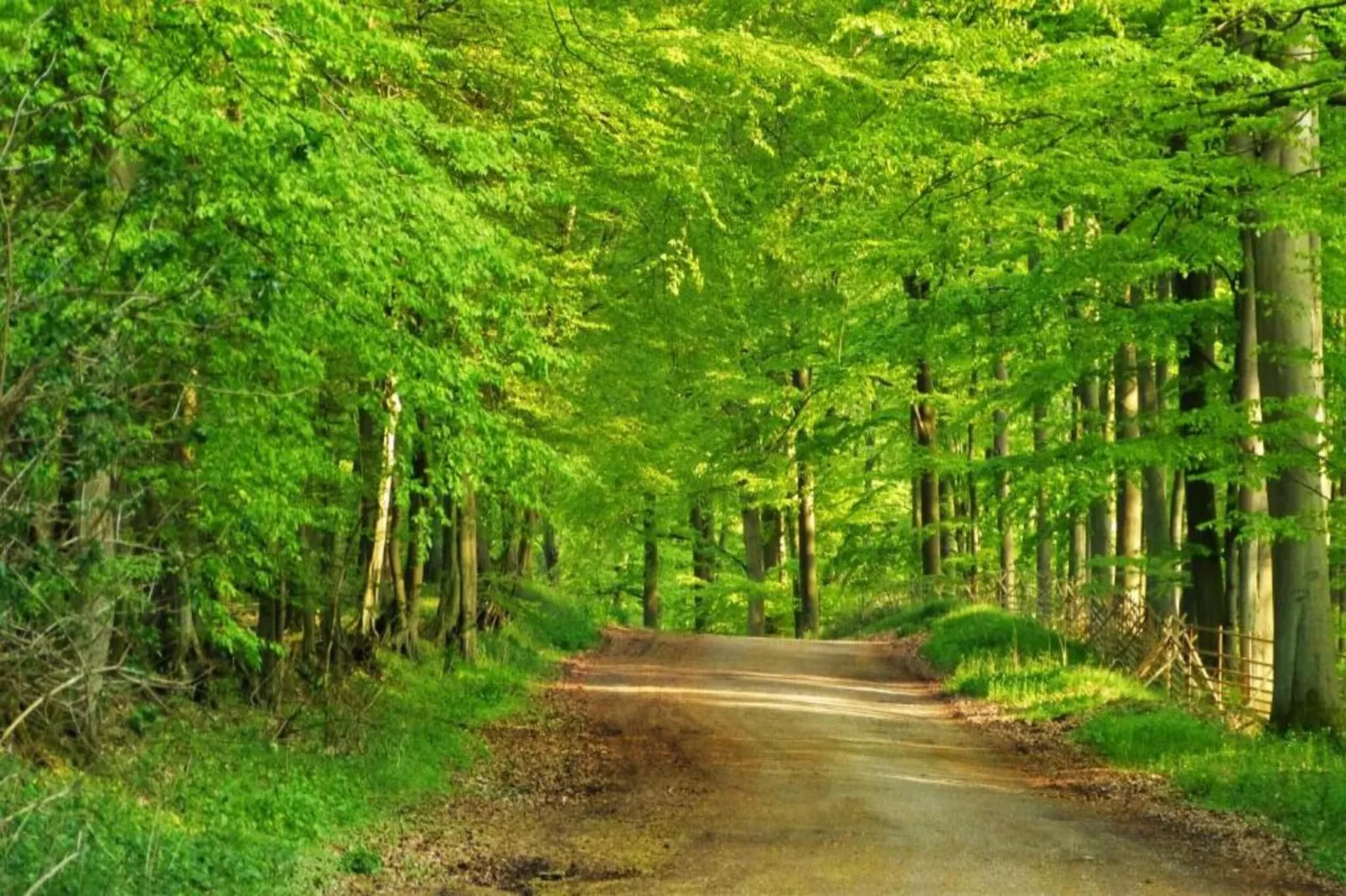 Mühle mit Charme-Gebieden zomer 20km