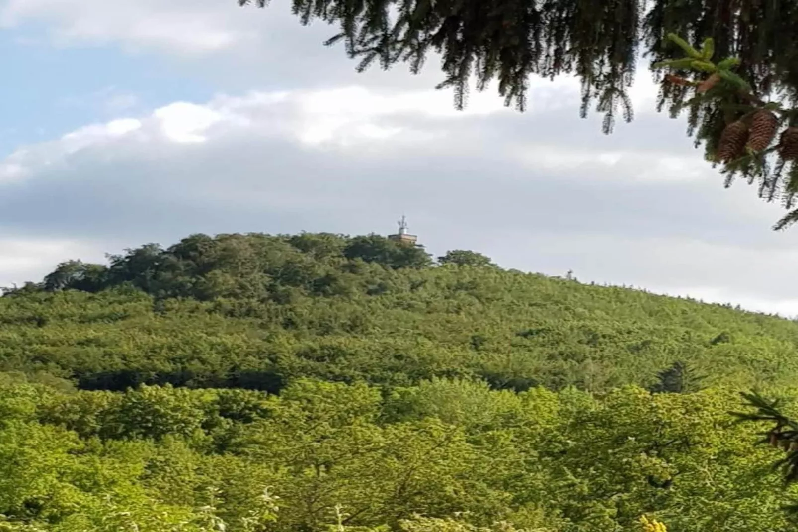 Ferienhaus im Harz-Gebieden zomer 5km