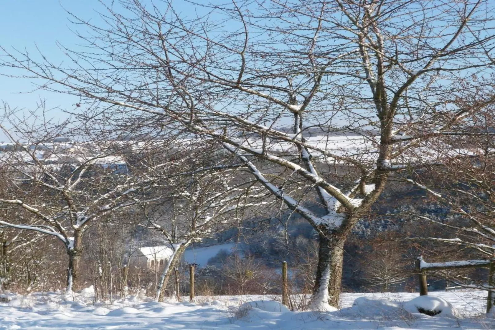 Katja-Gebieden zomer 20km