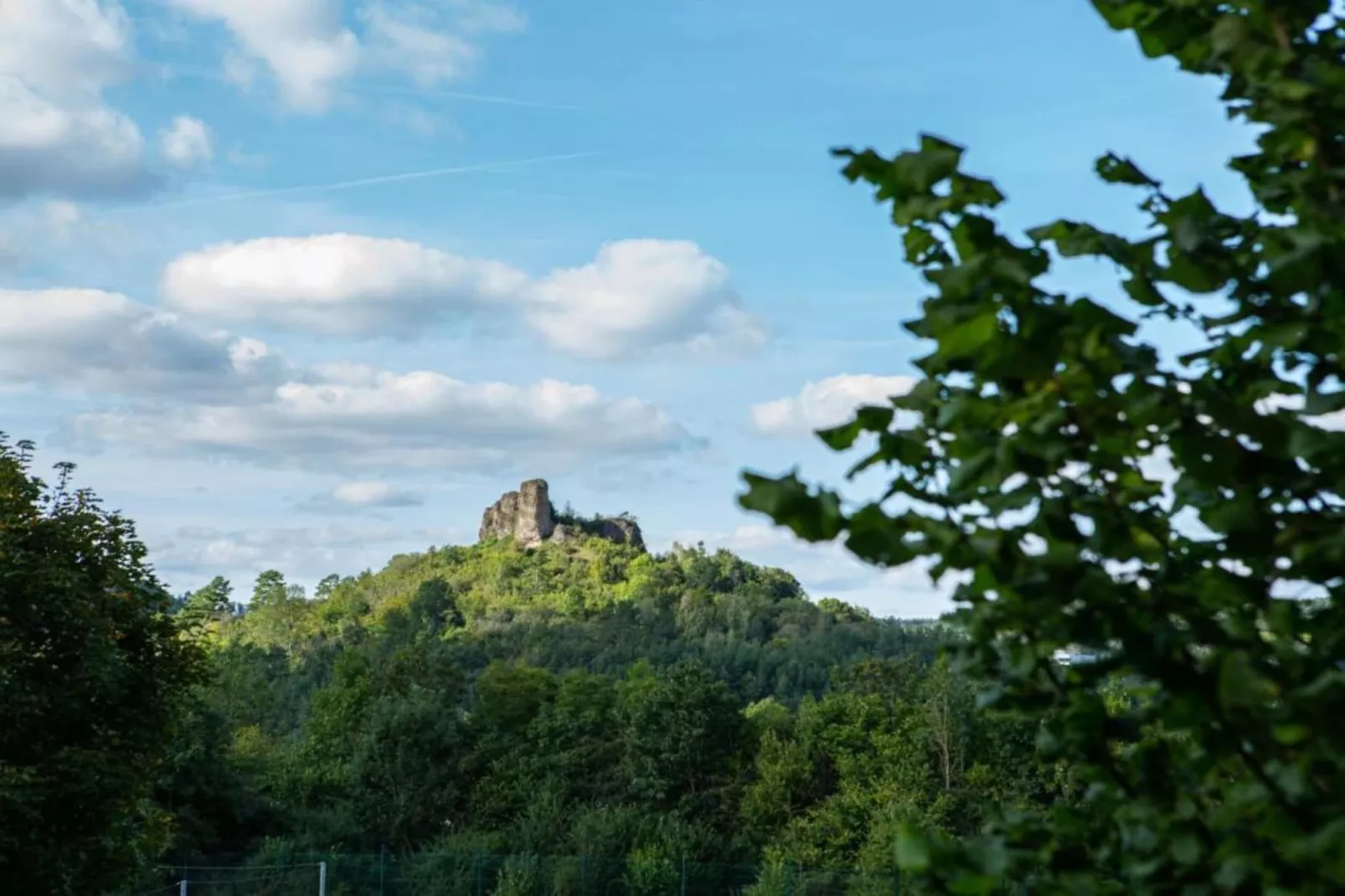 Hillesheim-Gebieden zomer 20km