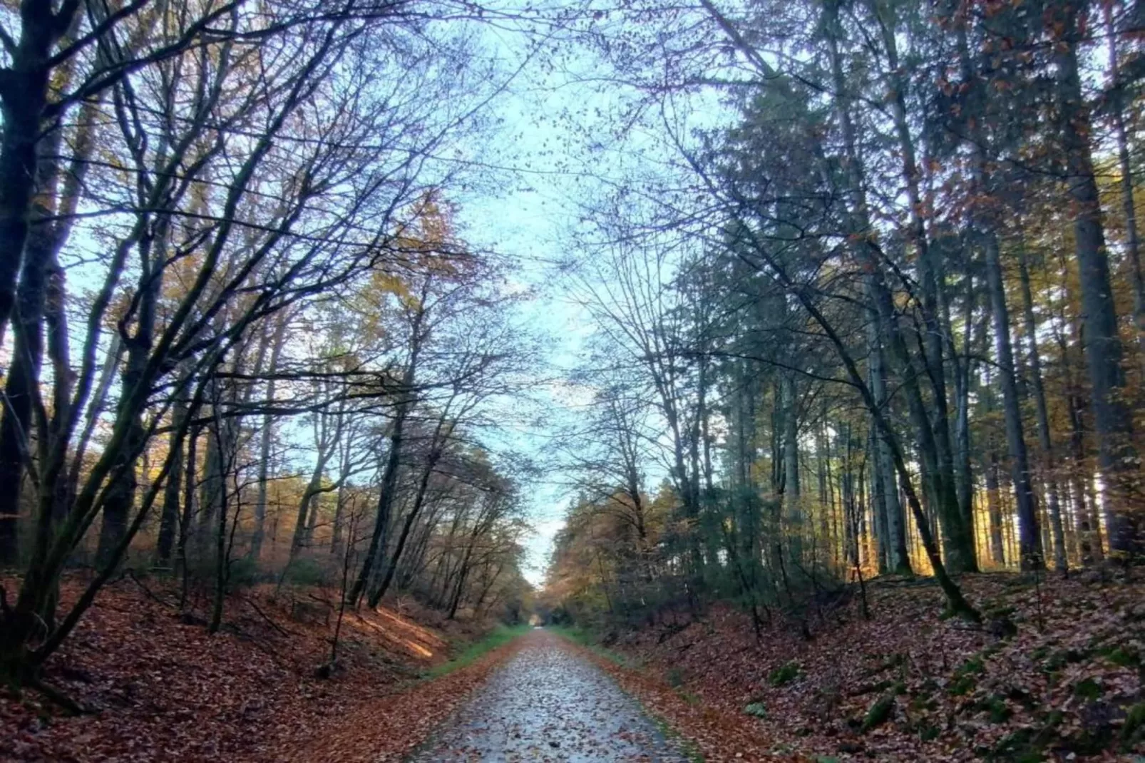 Denterhof-Gebieden zomer 20km