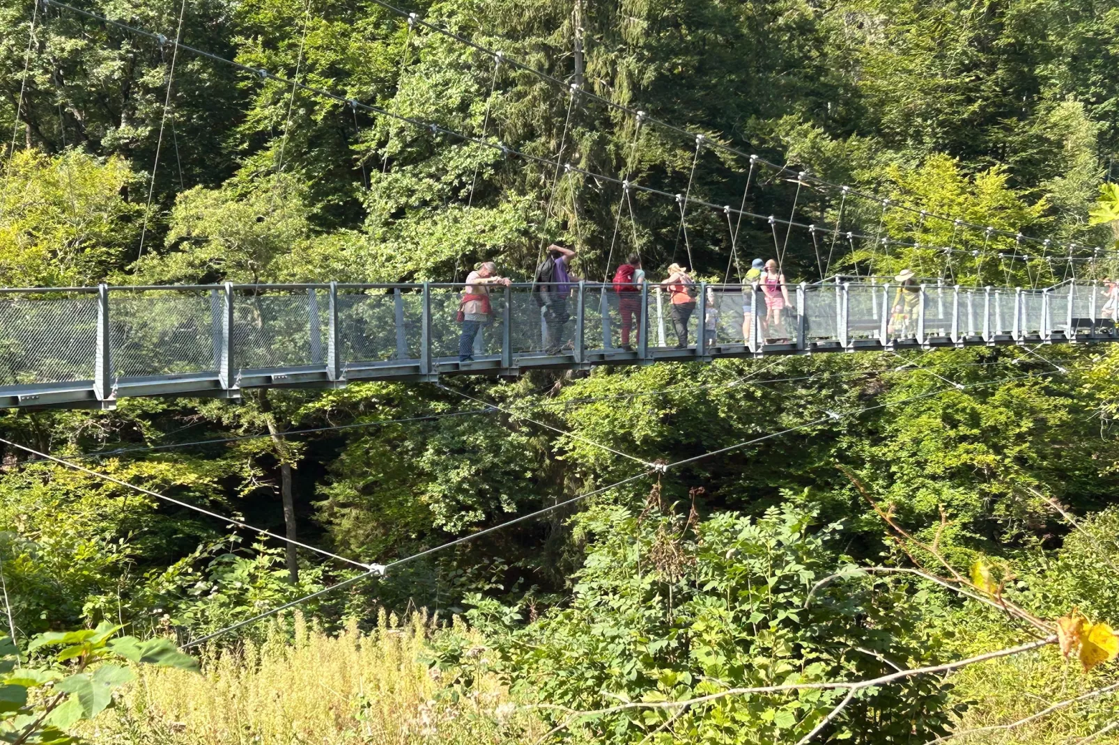 Am Schäferhof-Gebieden zomer 1km