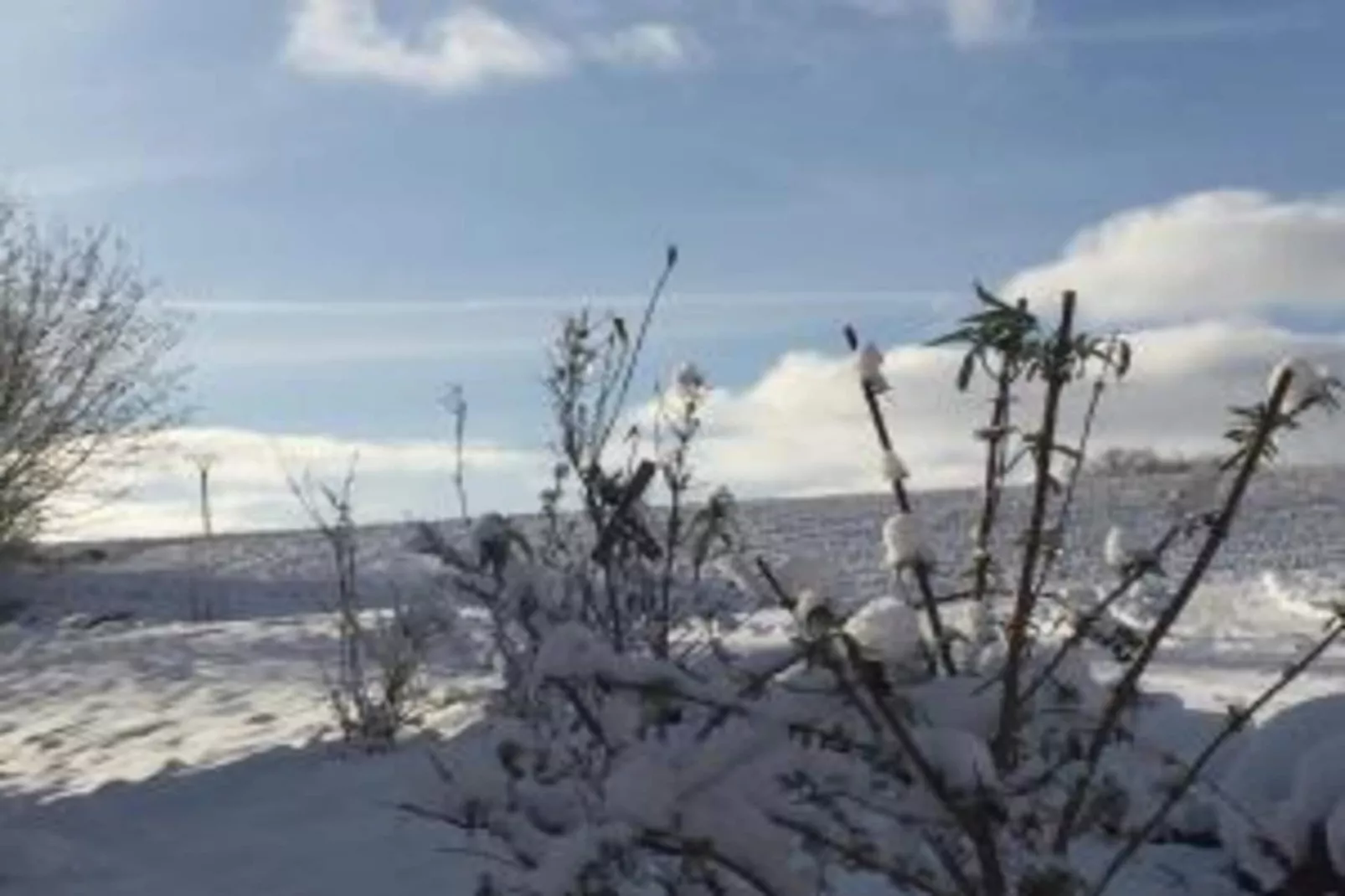 Mohr-Gebied winter 20km