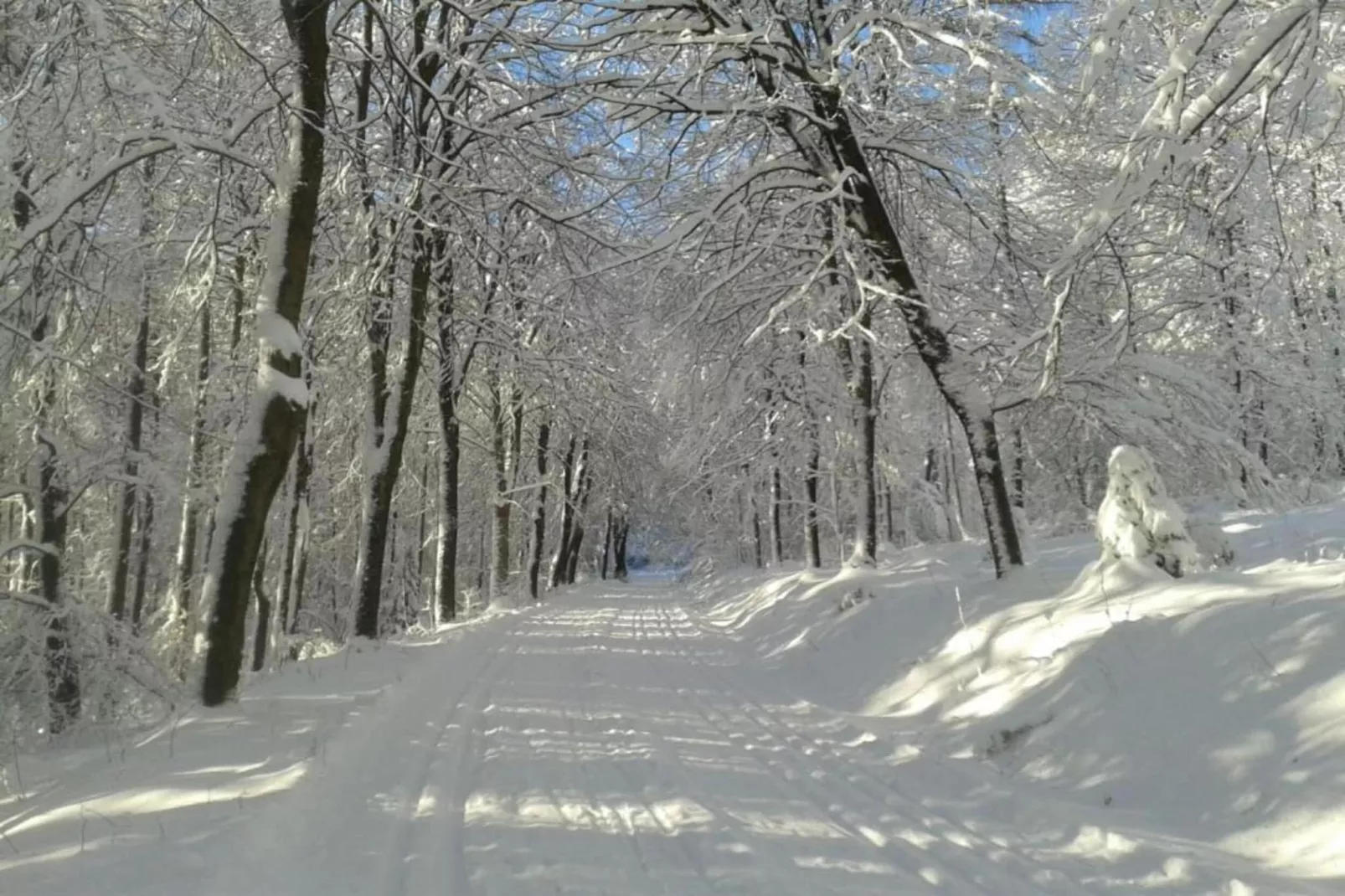 Ferienwohnung Silbecke-Gebied winter 20km