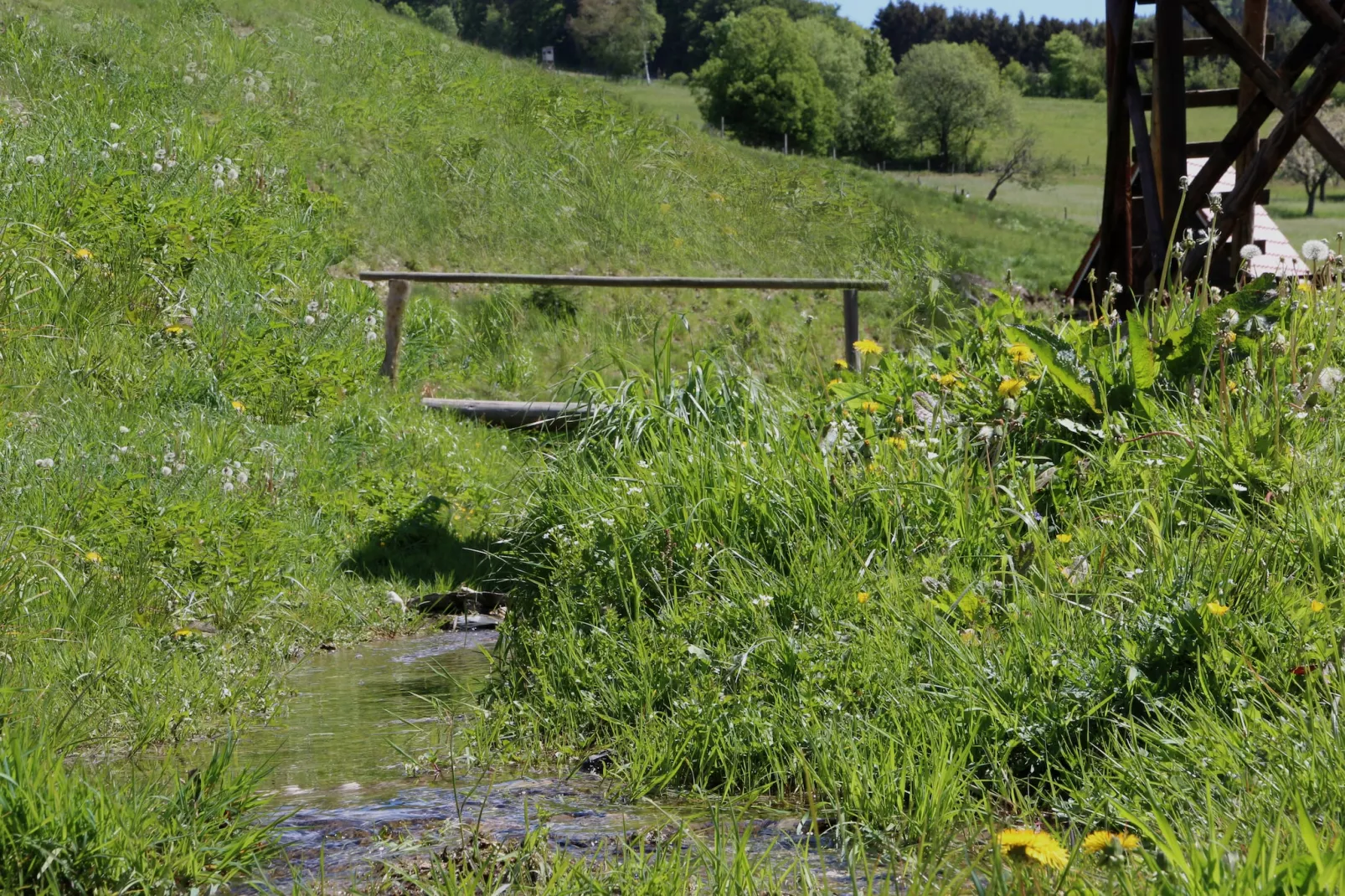 Wieselbau-Gebieden zomer 1km