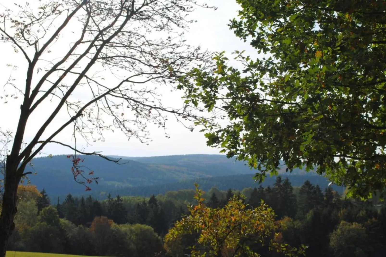 Sauerland-Gebieden zomer 5km