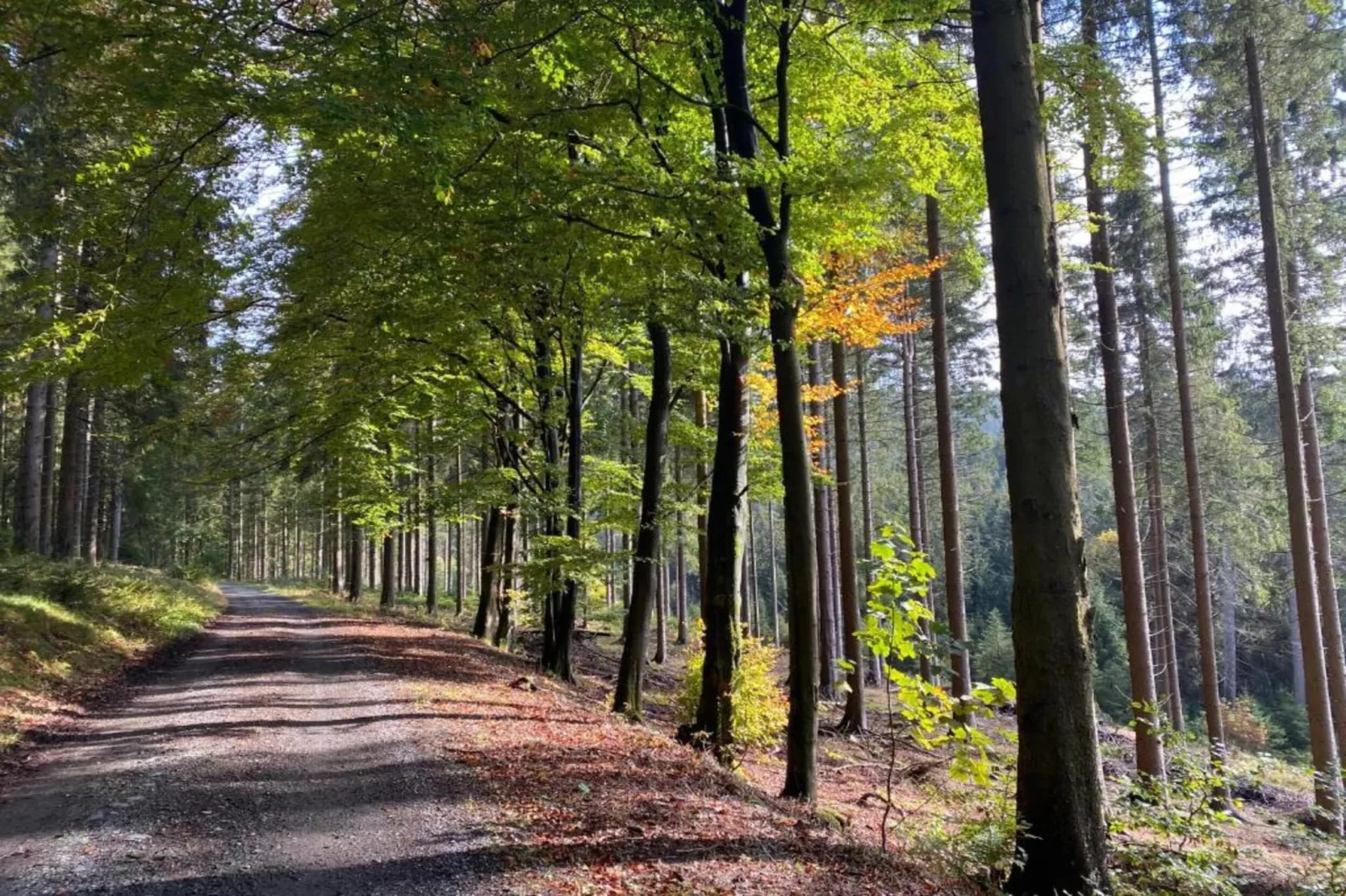 Bergresort Winterberg 3 - Gebieden zomer 20km