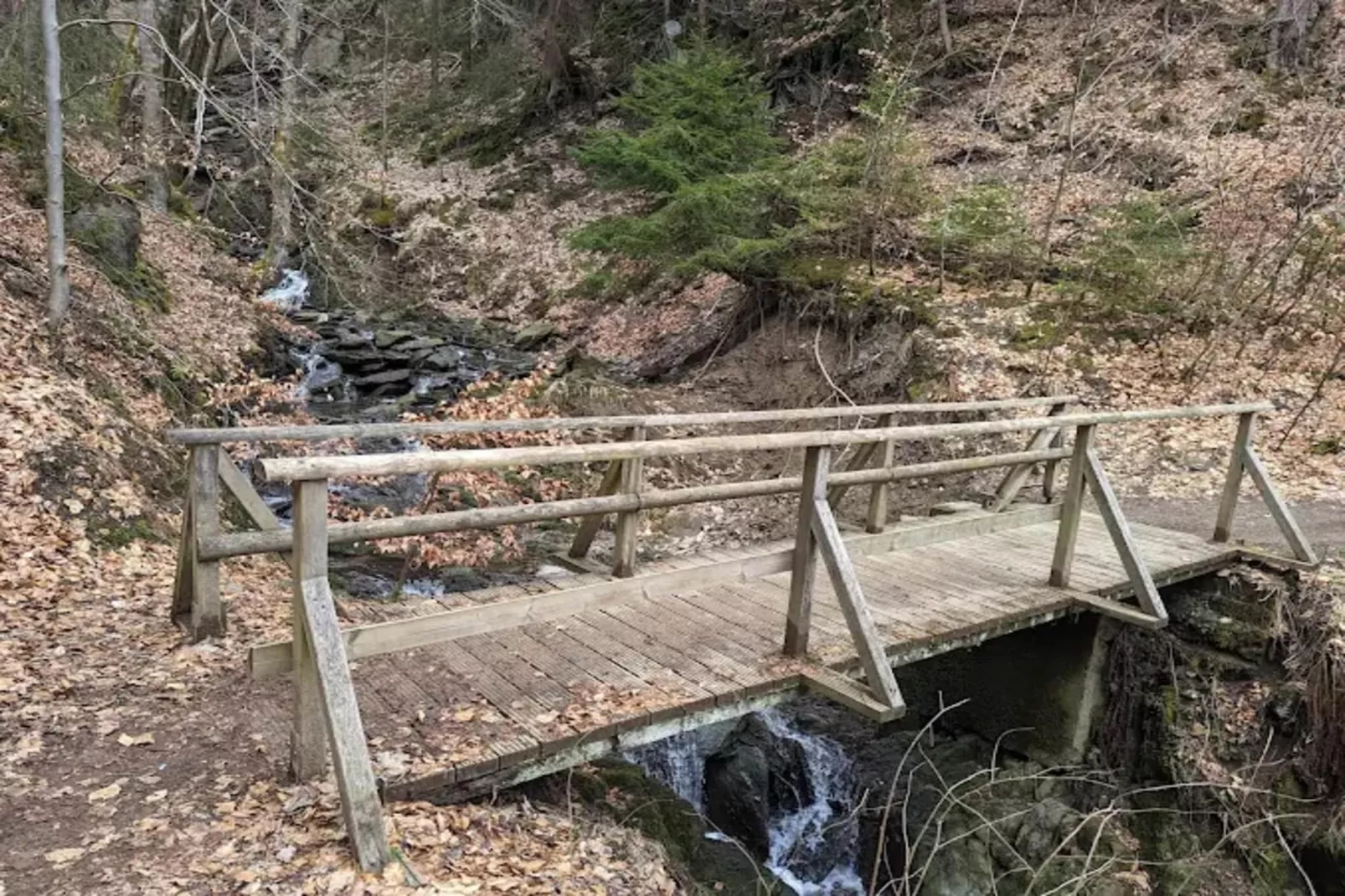 Buchenweg 13 - Kappenblick-Gebieden zomer 5km