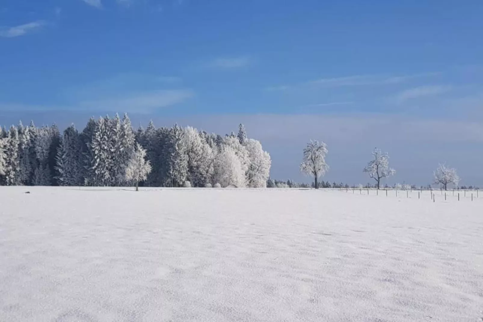 Marianne-Gebied winter 20km