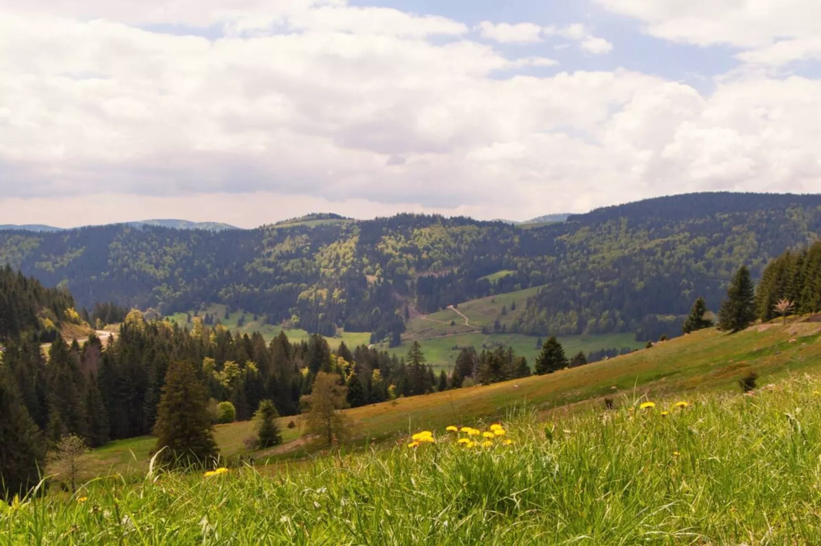 Haus Fischer-Gebieden zomer 20km