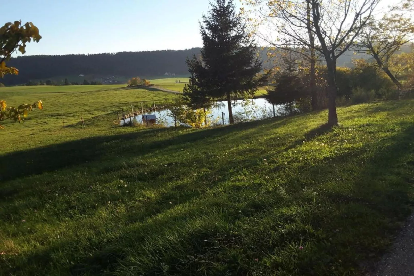 Schwarzwald - Gummenstein-Gebieden zomer 20km