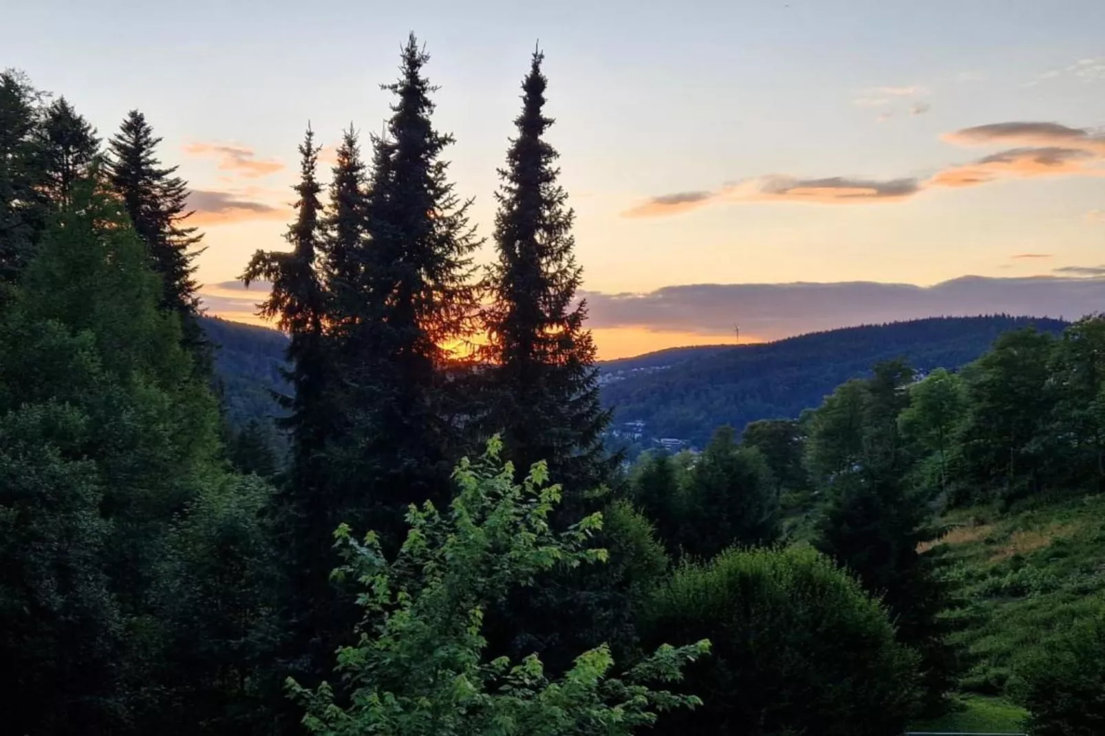 Schwarzwald-Gebieden zomer 20km