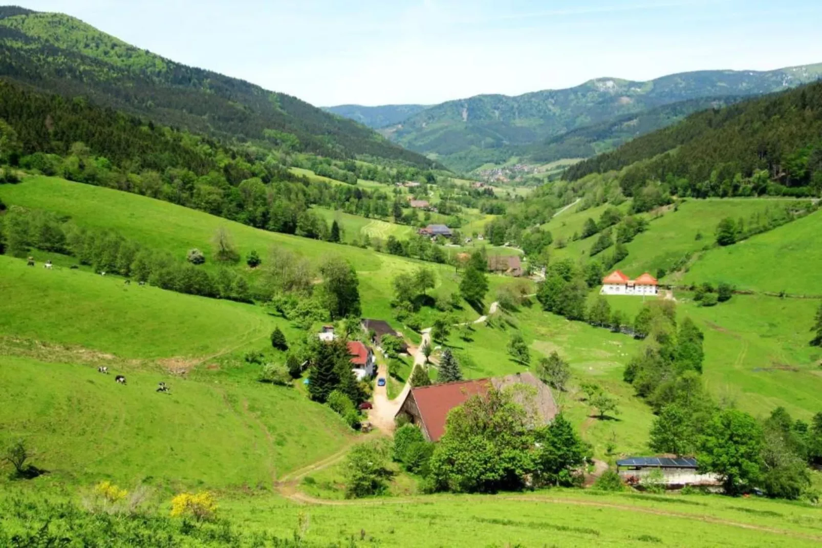 Neukirch-Gebied winter 20km