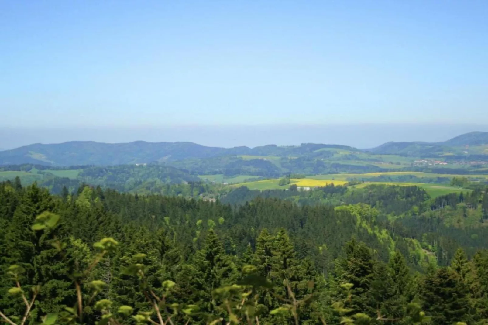 Schwarzwaldhaus Pferdeklause-Gebieden zomer 20km