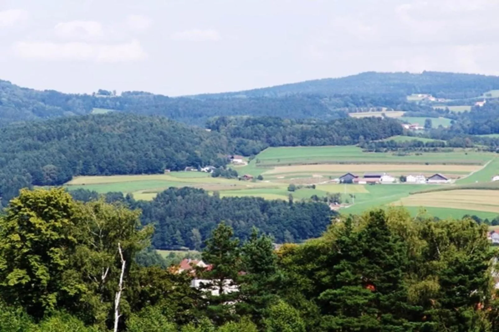 Vakantiehuis met sauna in het Beierse Woud-Gebieden zomer 20km