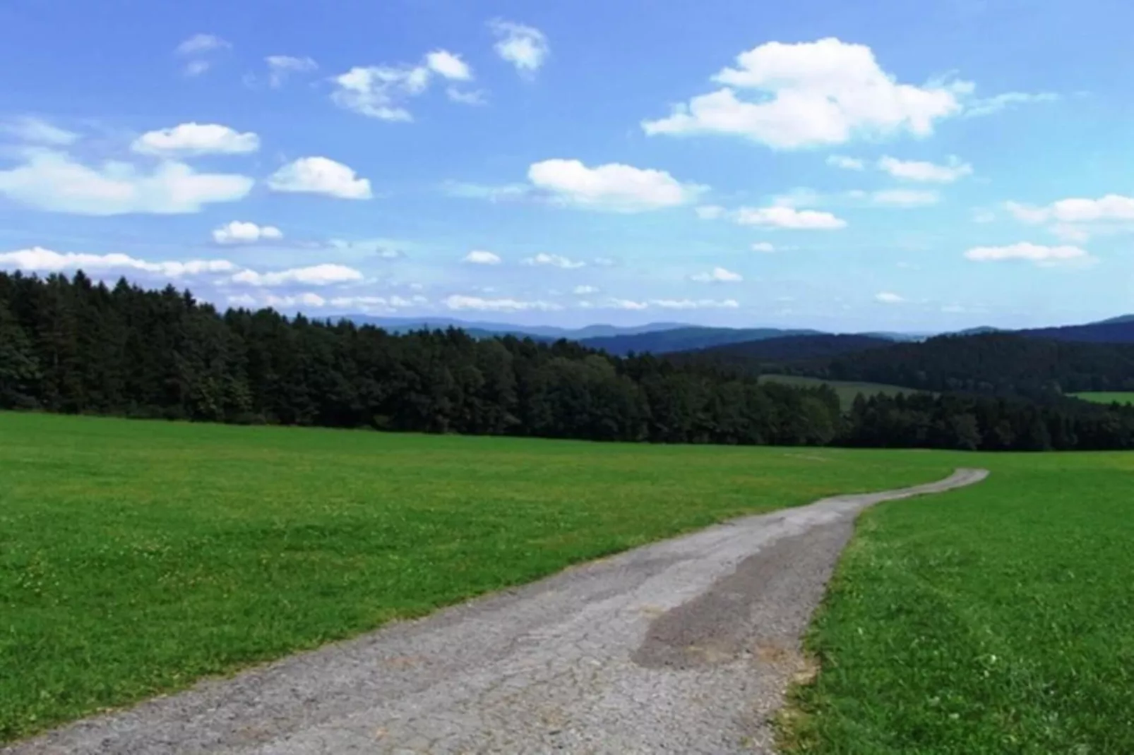 Vakantiehuis met sauna in Viechtach-Gebieden zomer 20km