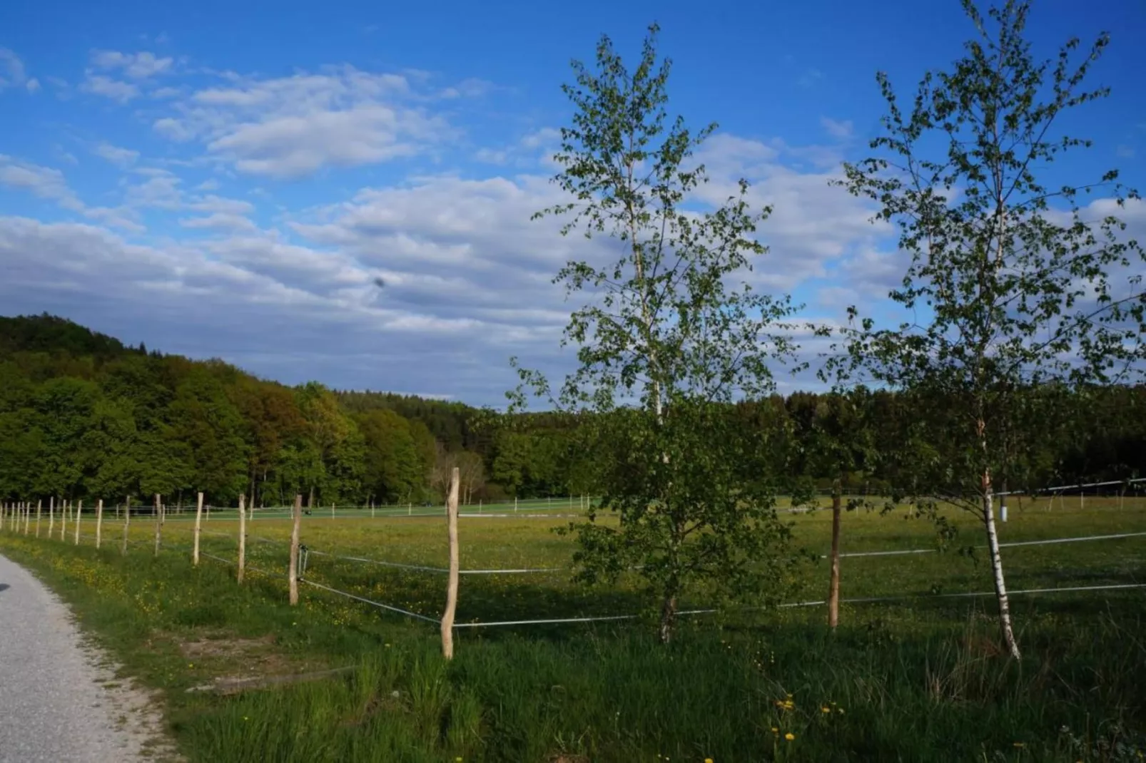 Wildrose-Gebieden zomer 20km
