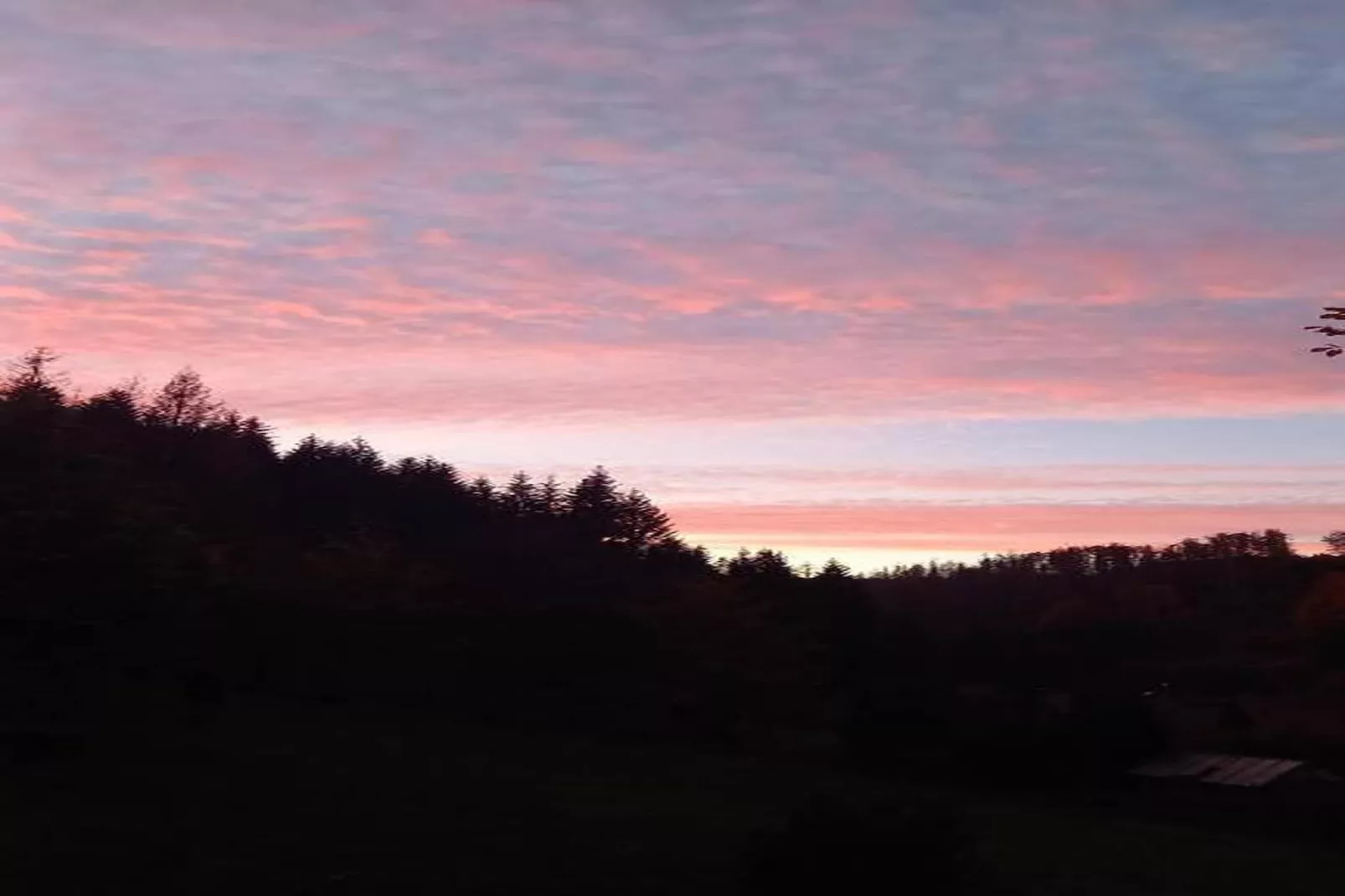 Waldblick-Gebieden zomer 20km