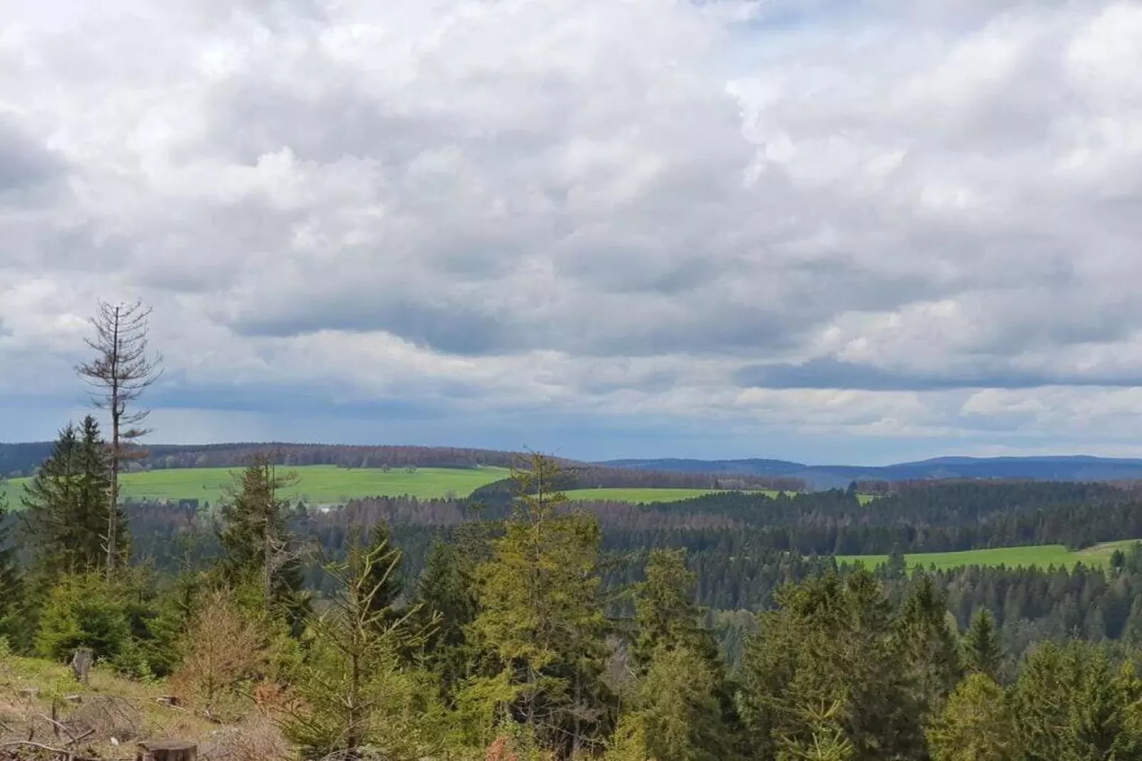 Waldblick-Gebieden zomer 20km