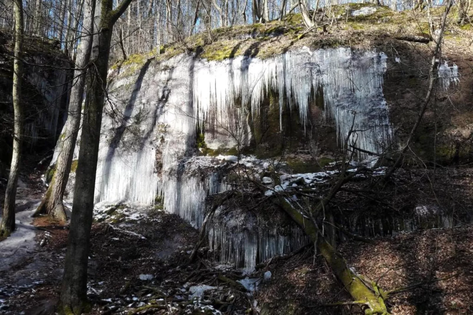 Mosbach-Gebied winter 5km