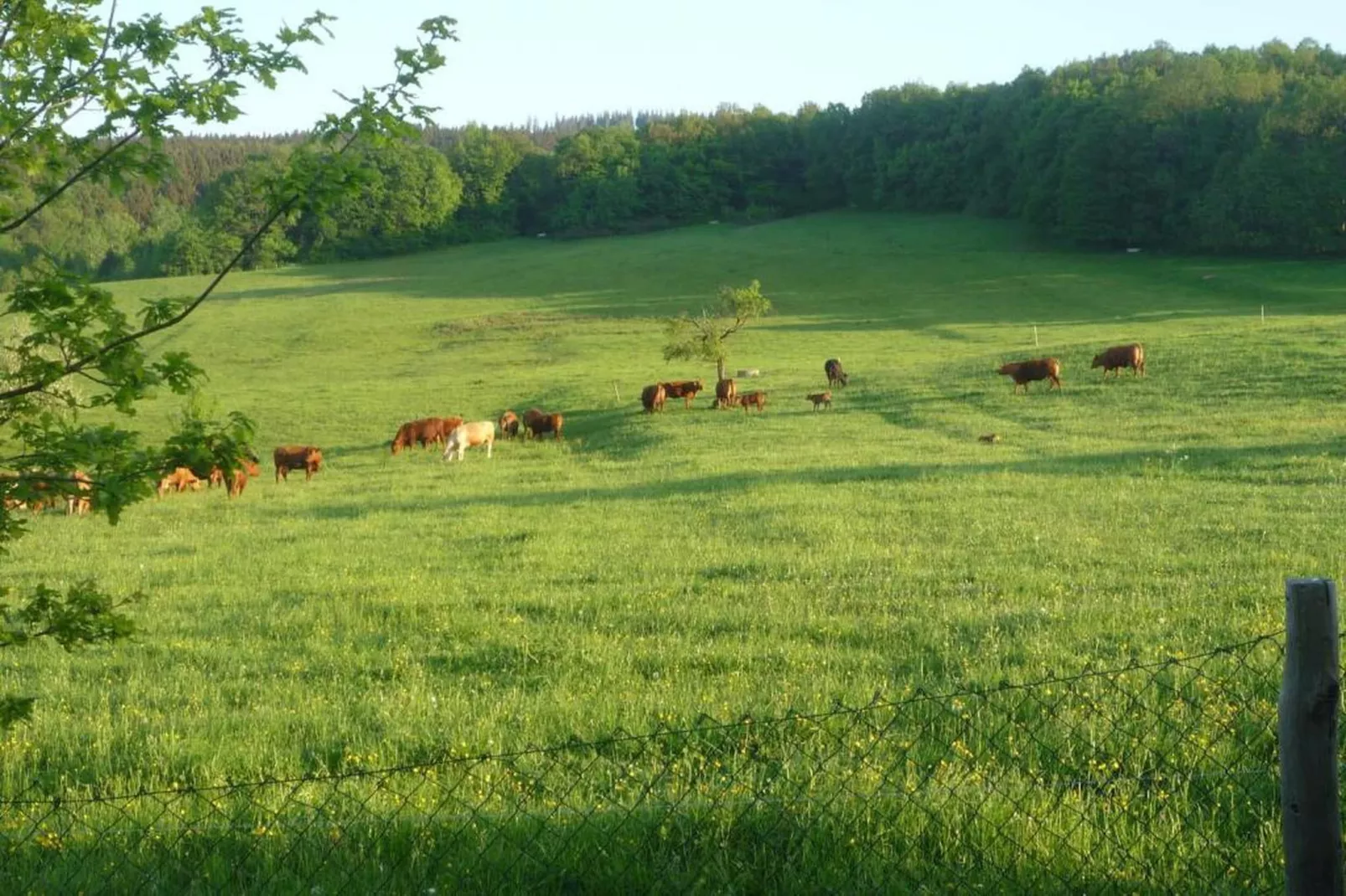Thüringer Wald-Gebieden zomer 20km