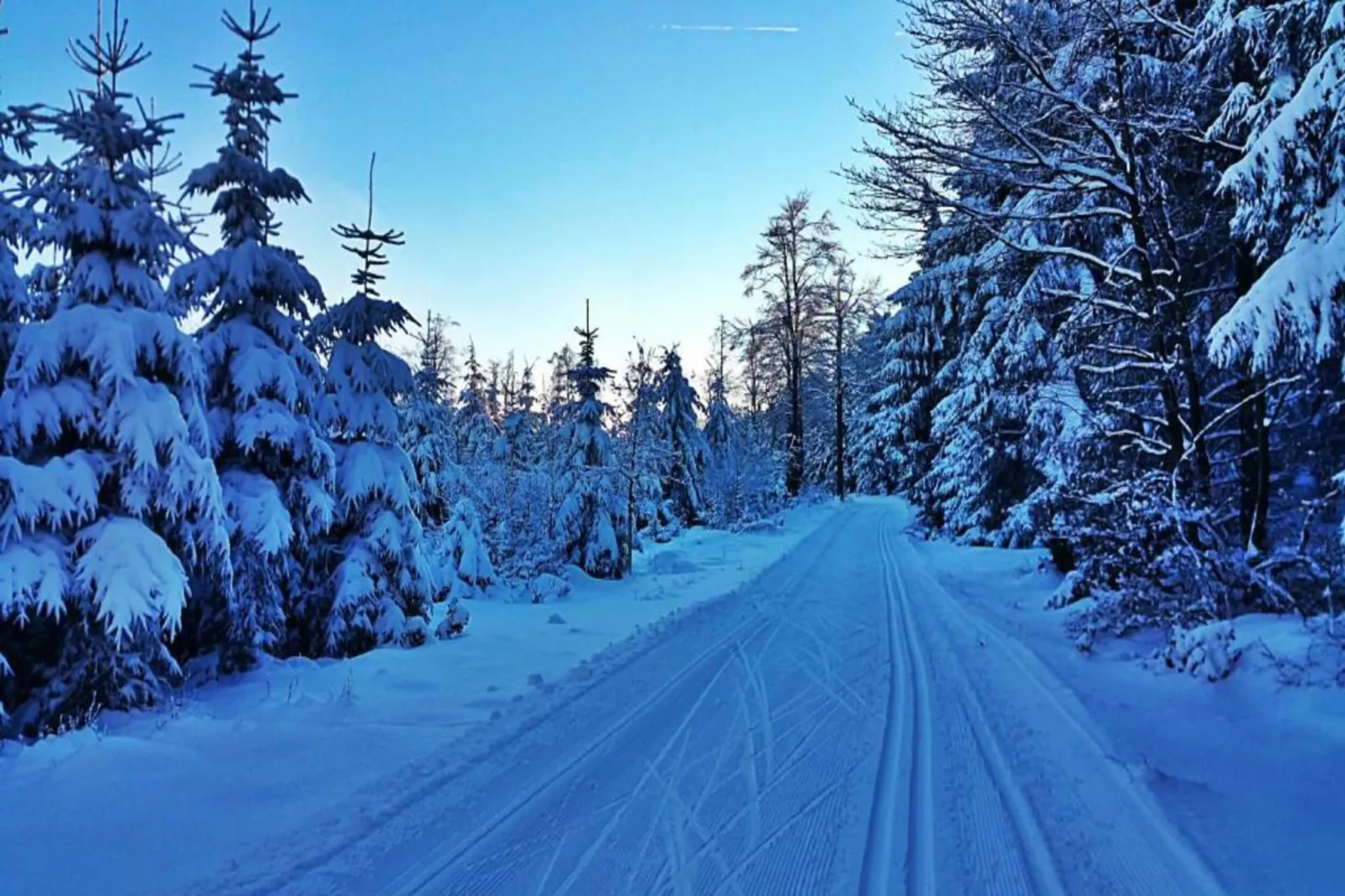 Ferienwohnung Christina-Gebied winter 20km