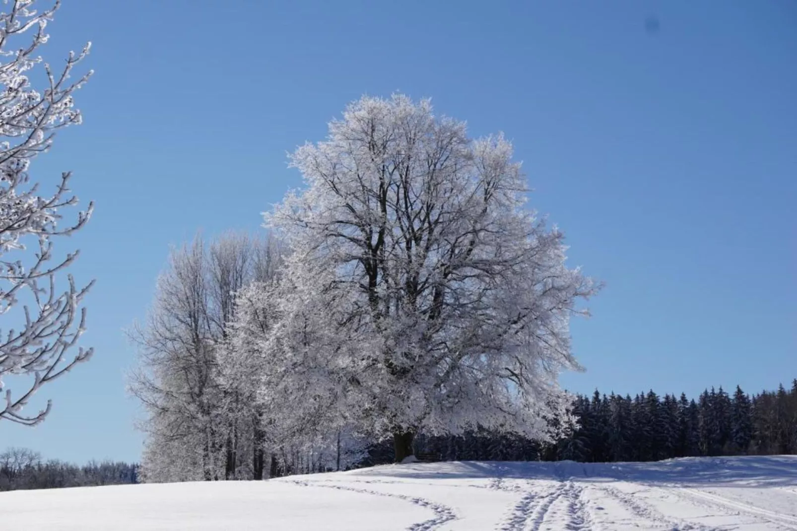 Ferienhaus im Thüringer Wald-Gebied winter 5km