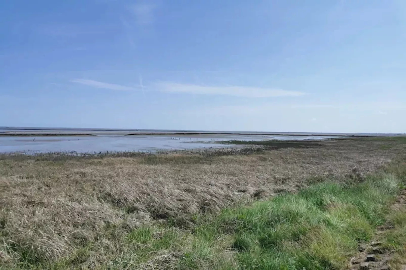 Ferienbungalow Klönsnack in Dornumersiel-Gebieden zomer 1km