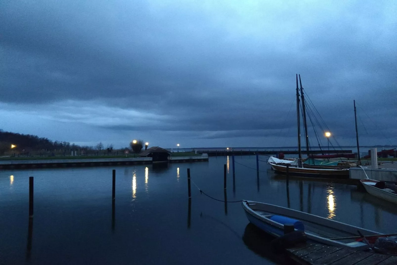Schilfrohrsänger 51-Gebieden zomer 1km