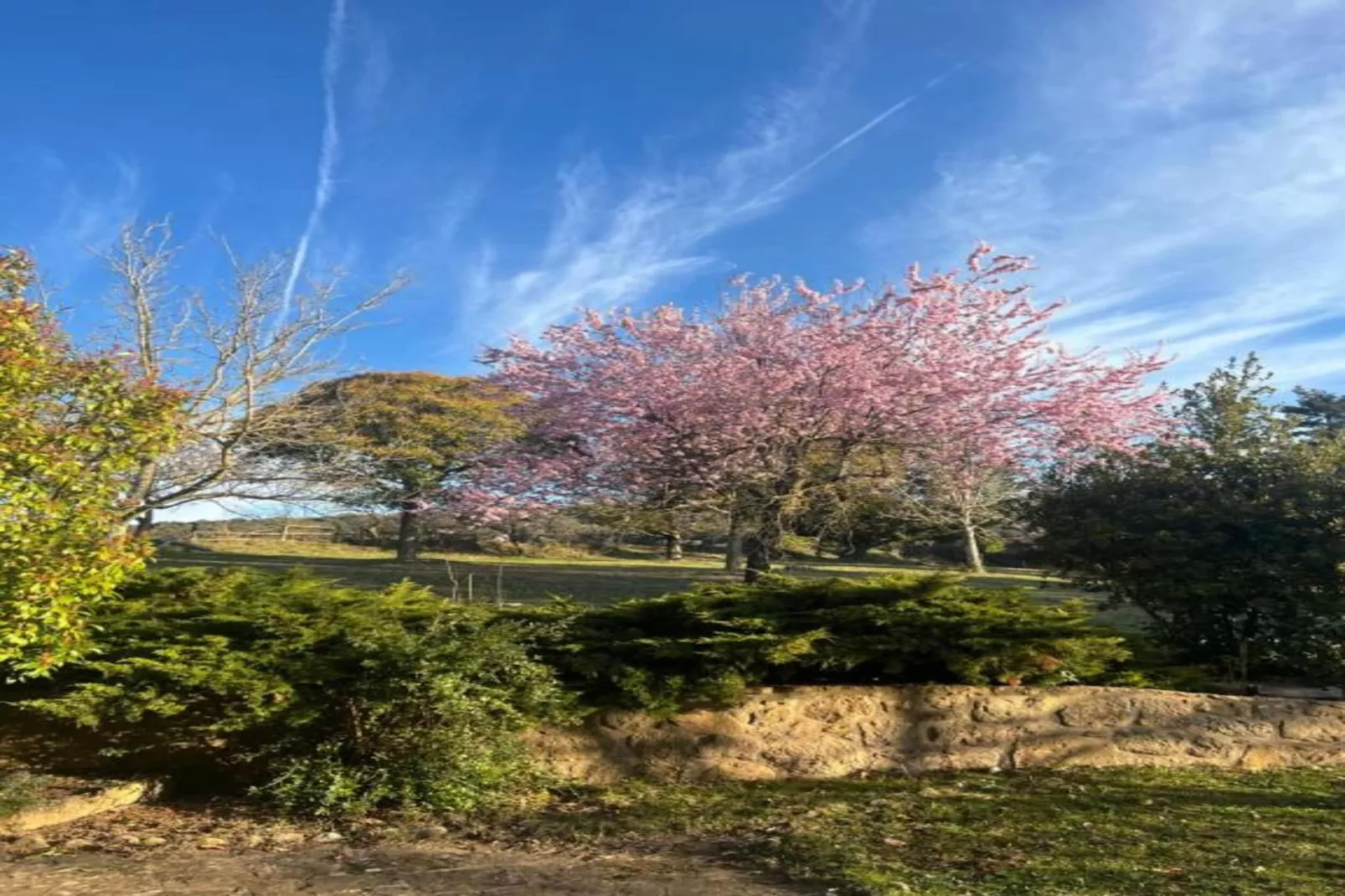 Cobert de l'Era-Gebieden zomer 20km