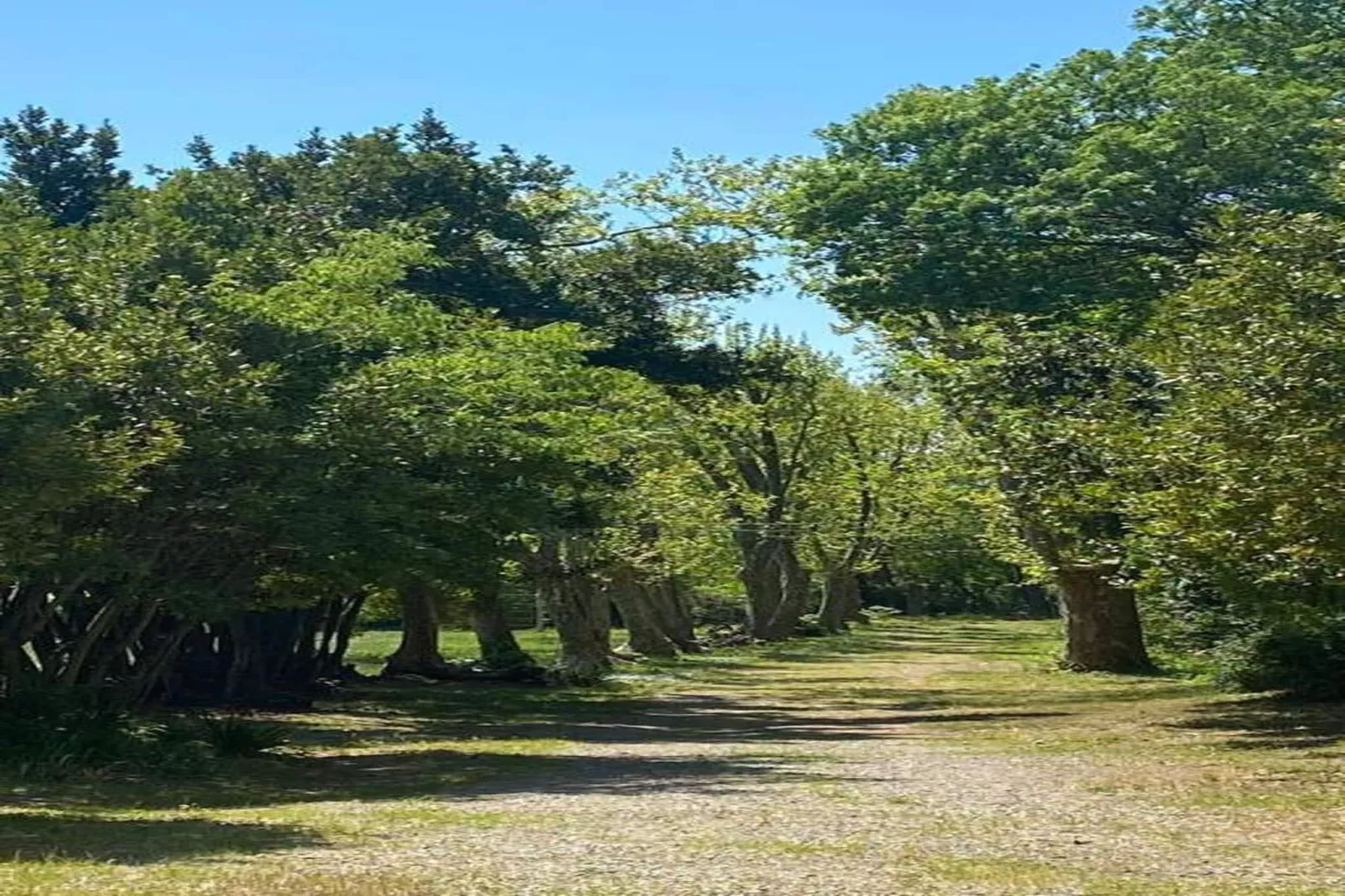 Les Hauts du Lac-Gebieden zomer 20km