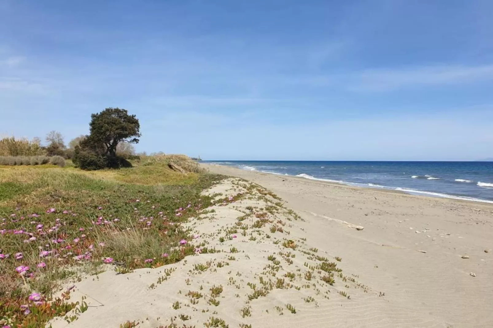 Résidence le Maquis Plage Studio-Gebieden zomer 1km