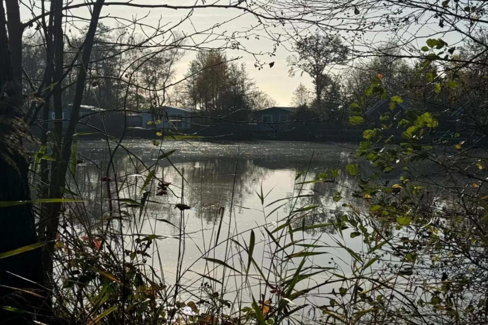 Maison mitoyenne dans un parc animalier proche mer-Gebieden zomer 20km