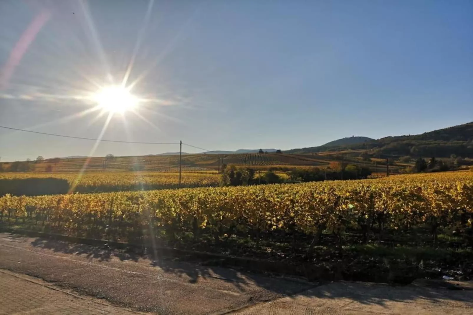 Le Domaine des Rois 3-Gebieden zomer 5km