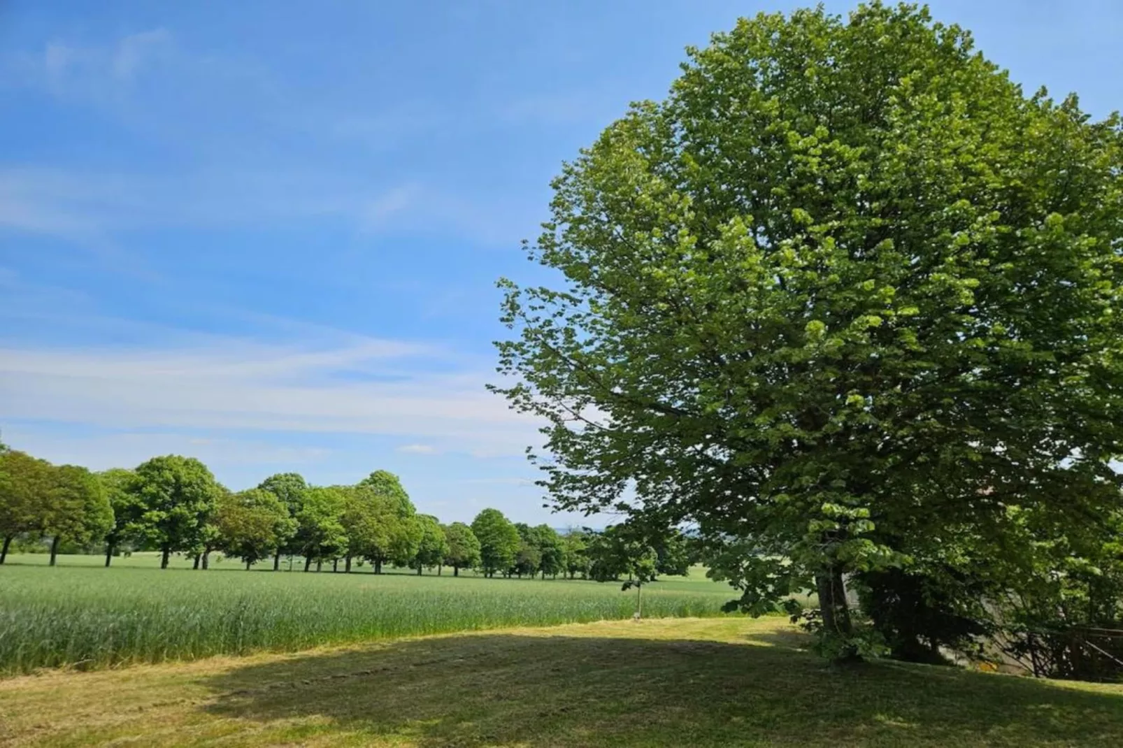 Maison de vacances Sossay-Gebieden zomer 5km