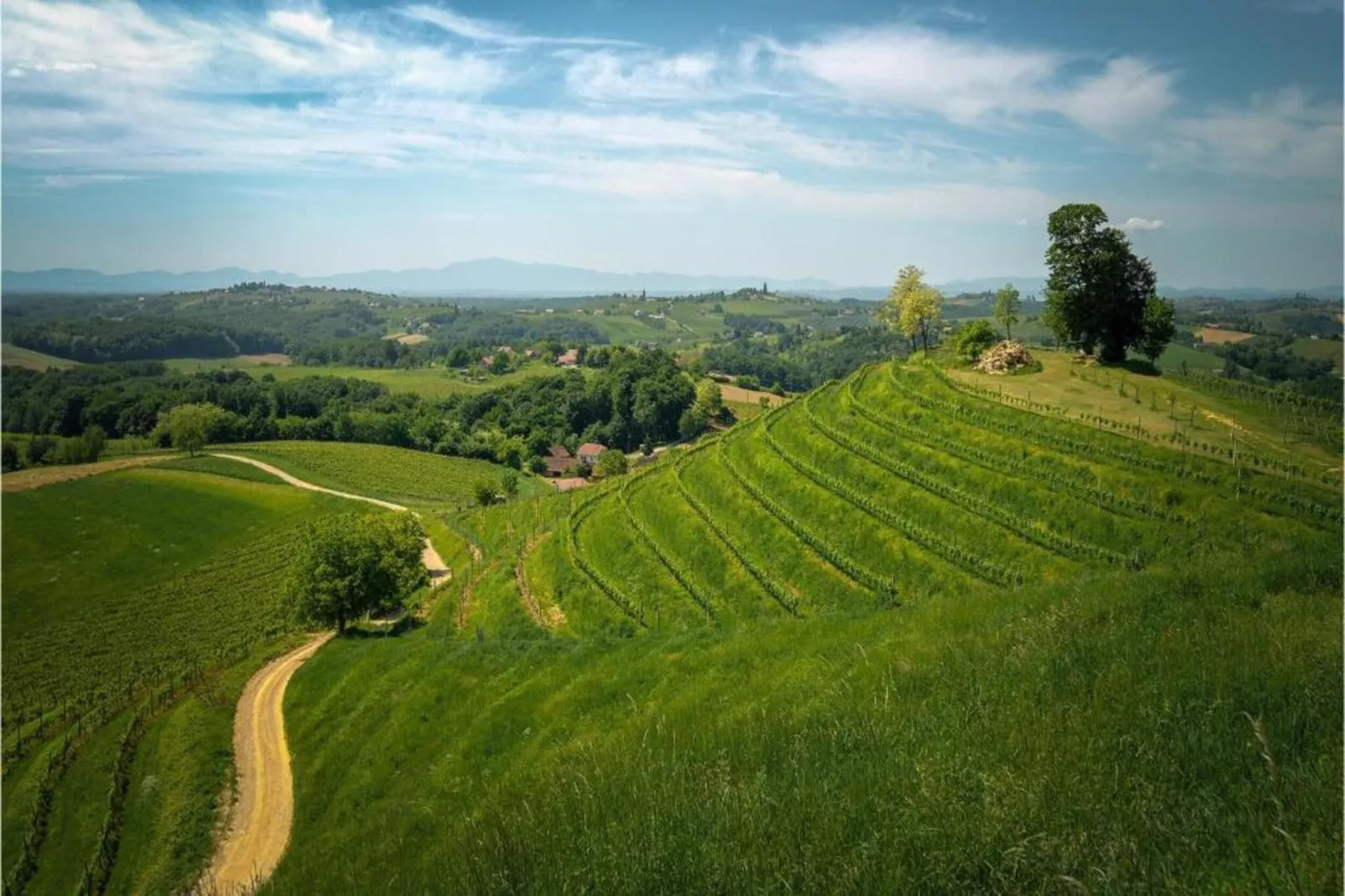 Apartment Carmen-Gebieden zomer 20km