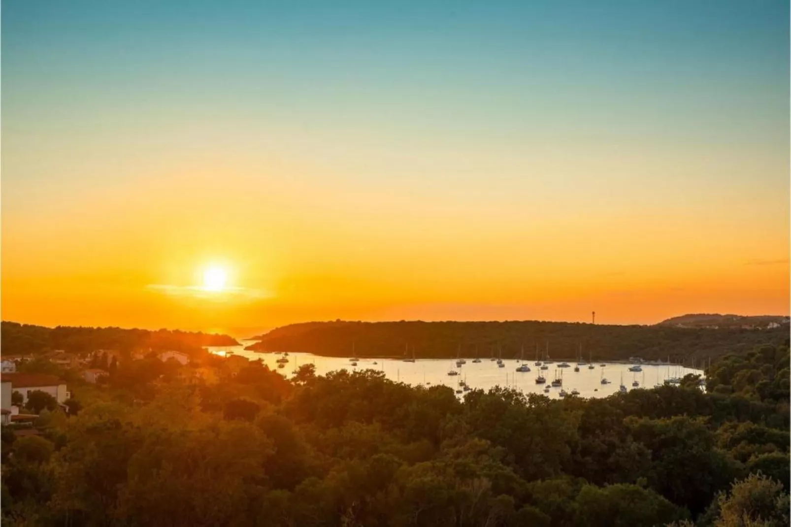 App Musoga 1-Gebieden zomer 20km