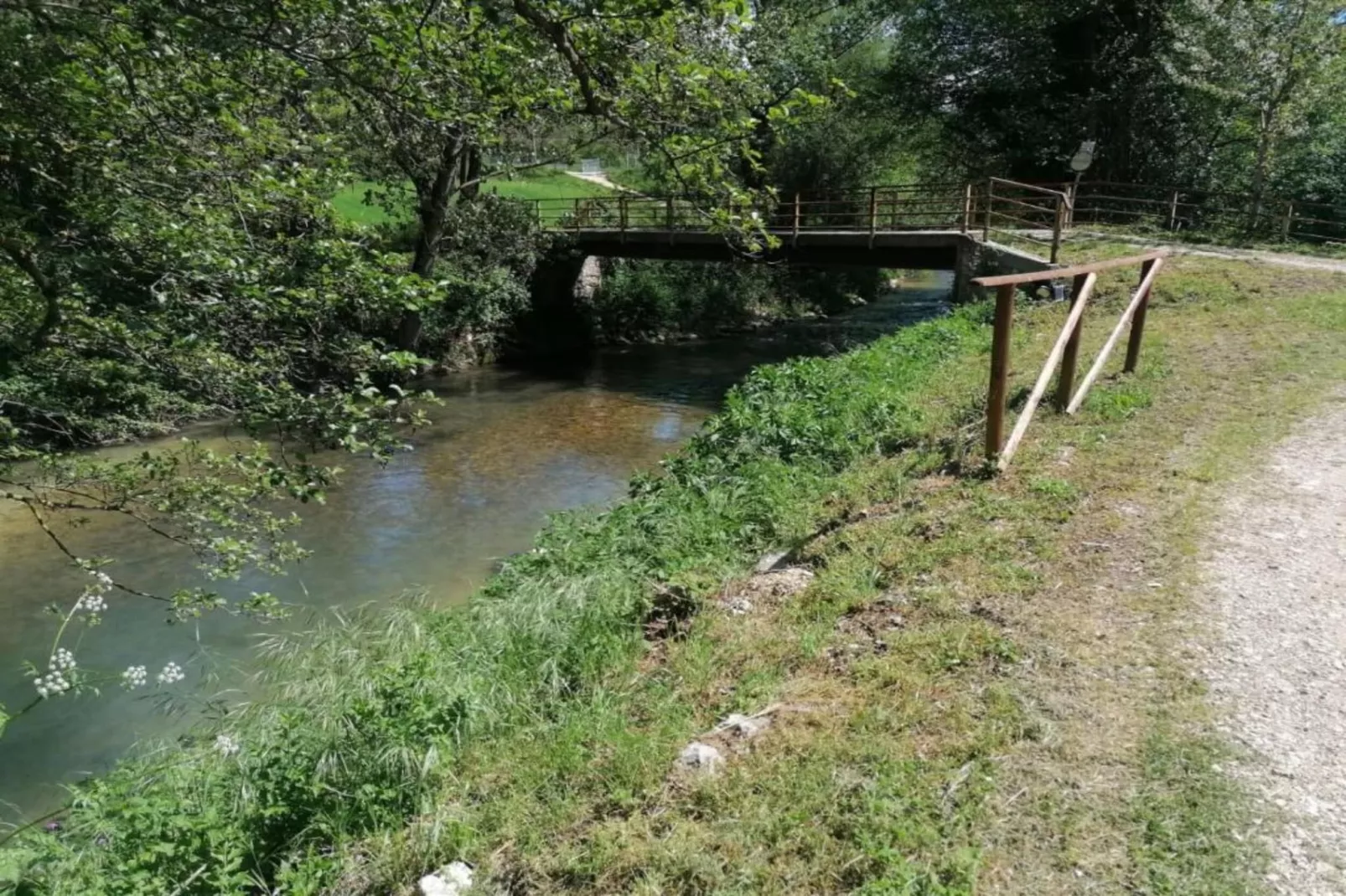 Sangiovese-Gebieden zomer 20km