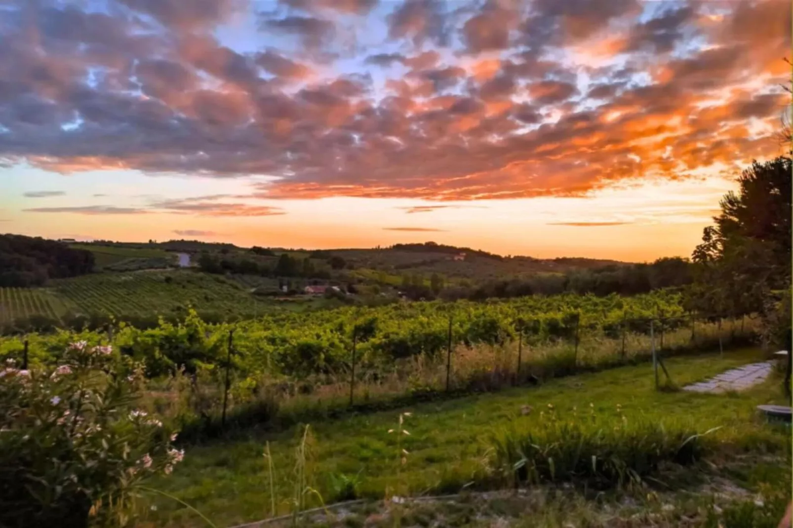 Chianti Village Morrocco T5-Gebieden zomer 5km
