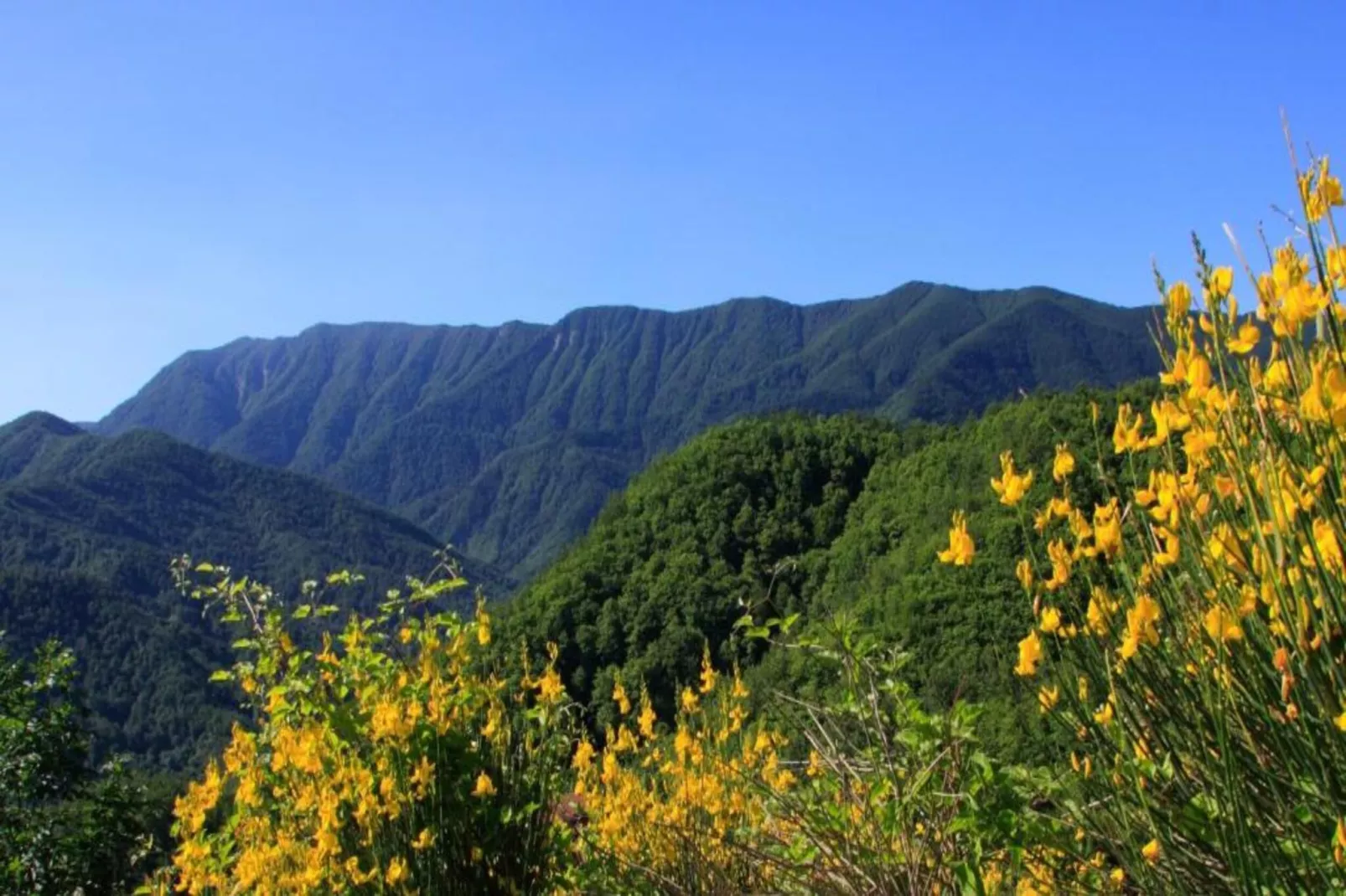 Sangiovese-Gebieden zomer 20km