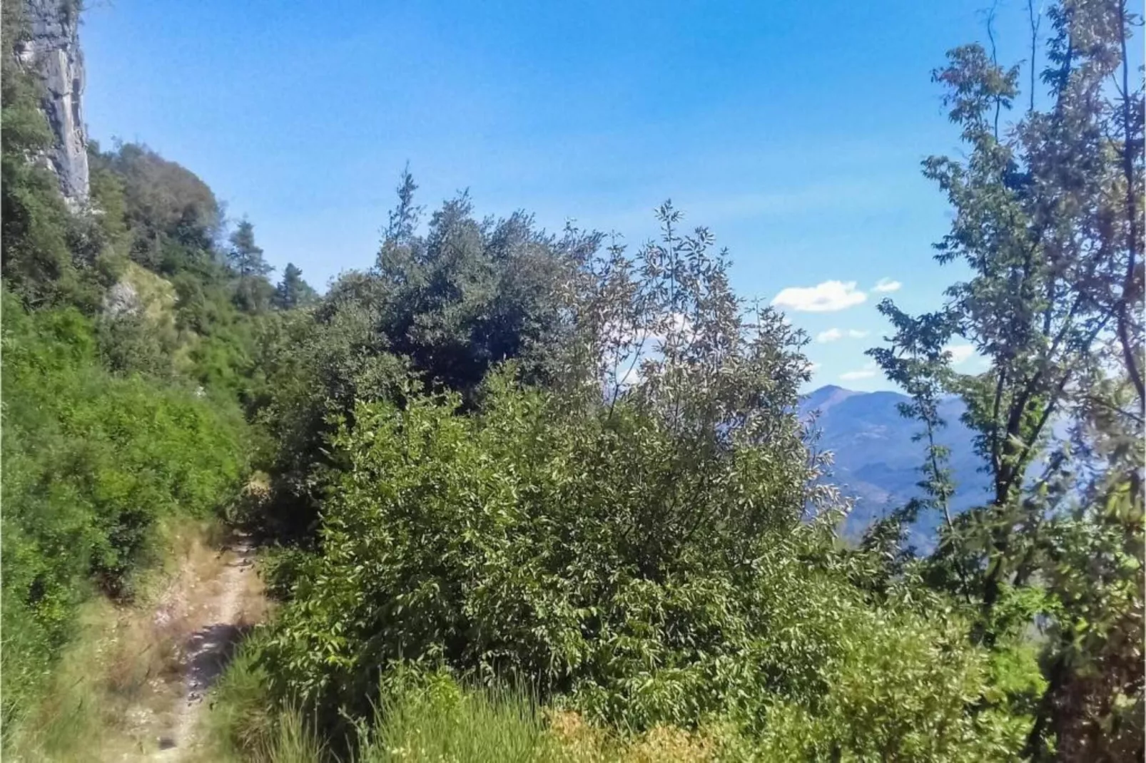 Gelsomino Piccolo-Gebieden zomer 5km