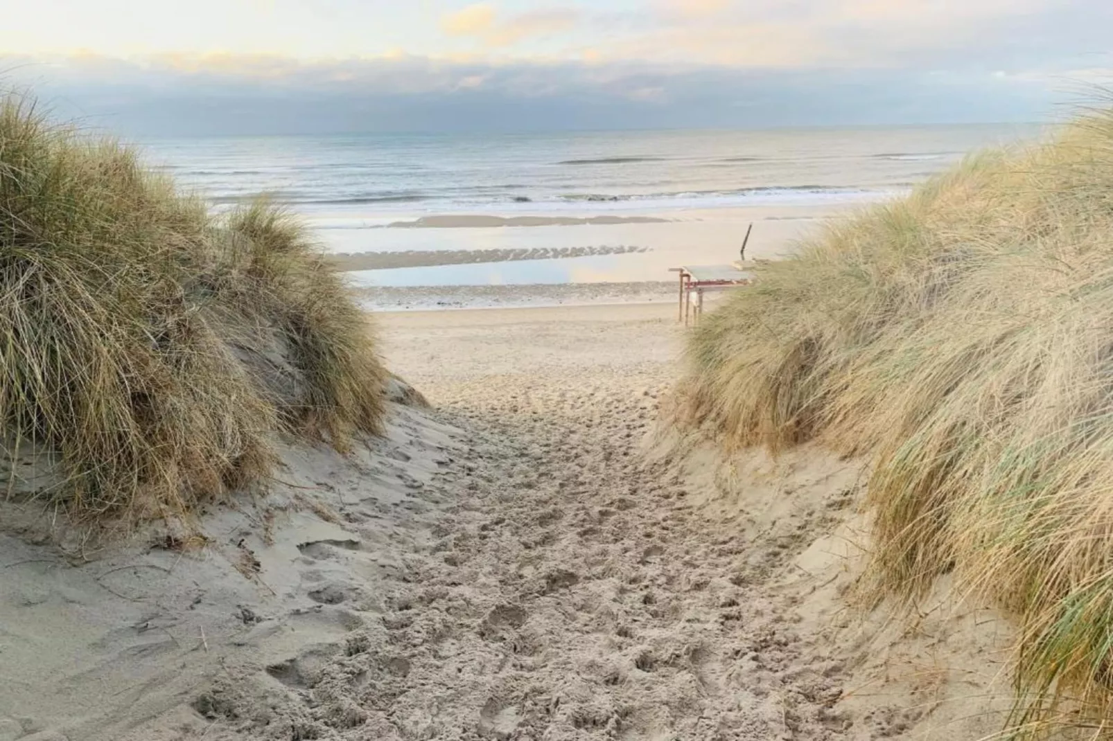Residentie Californië 9-Gebieden zomer 20km