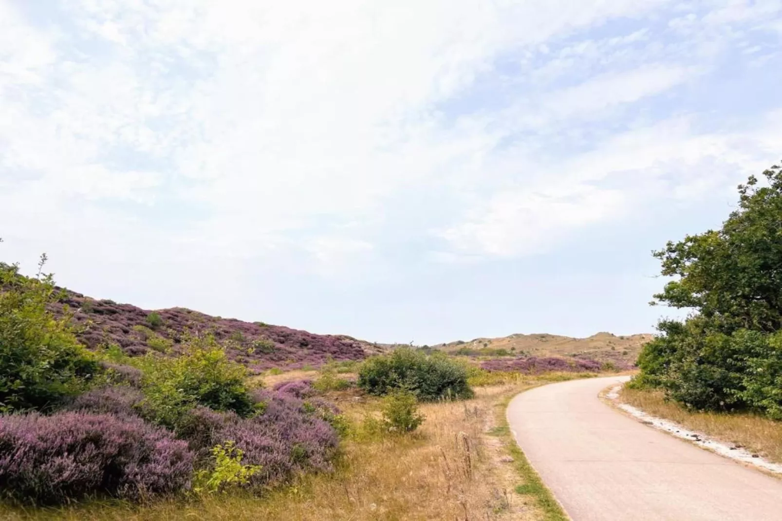 DE PETTEN-Gebieden zomer 20km