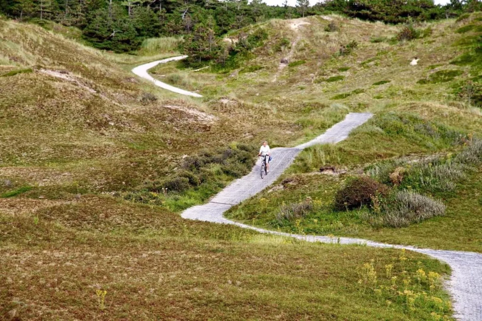 Villapark De Koog 2-Gebieden zomer 20km