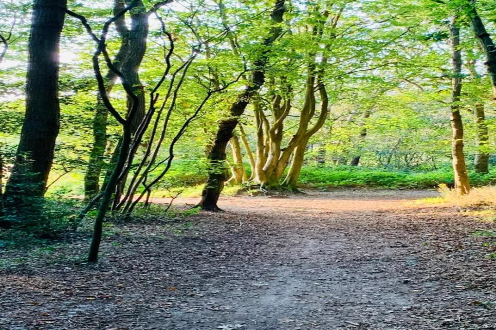 De Schone Leij-Gebieden zomer 20km