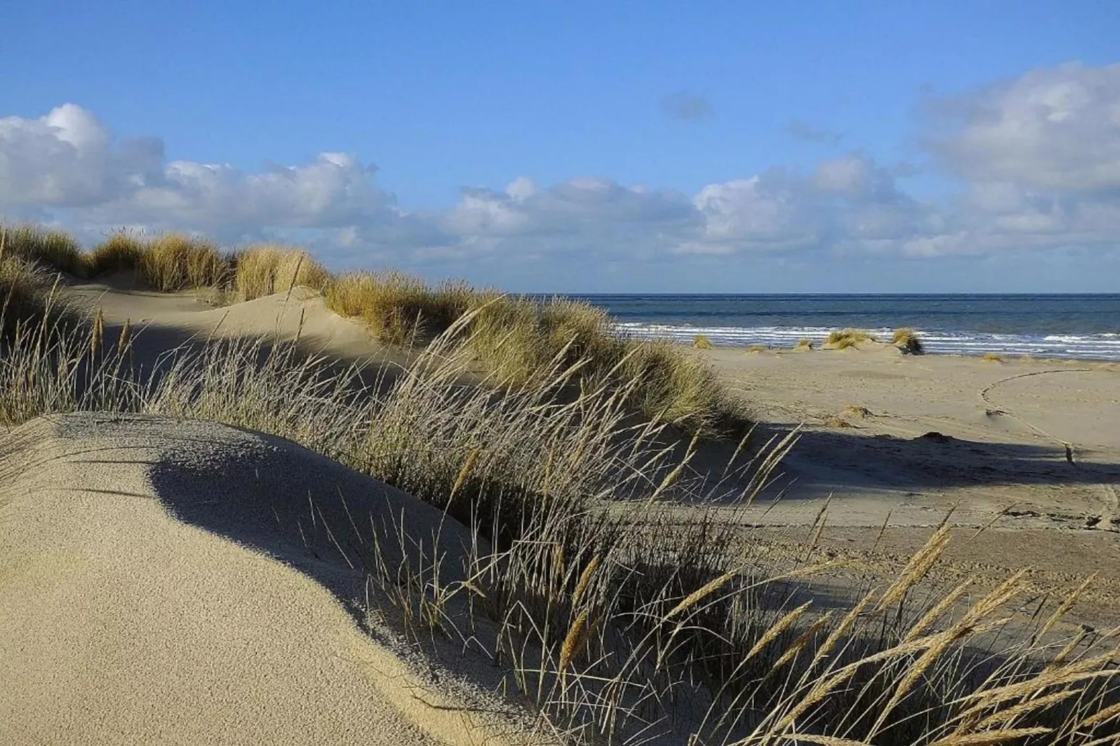 Brouwersbuurt 23a  Domburg-Gebieden zomer 5km