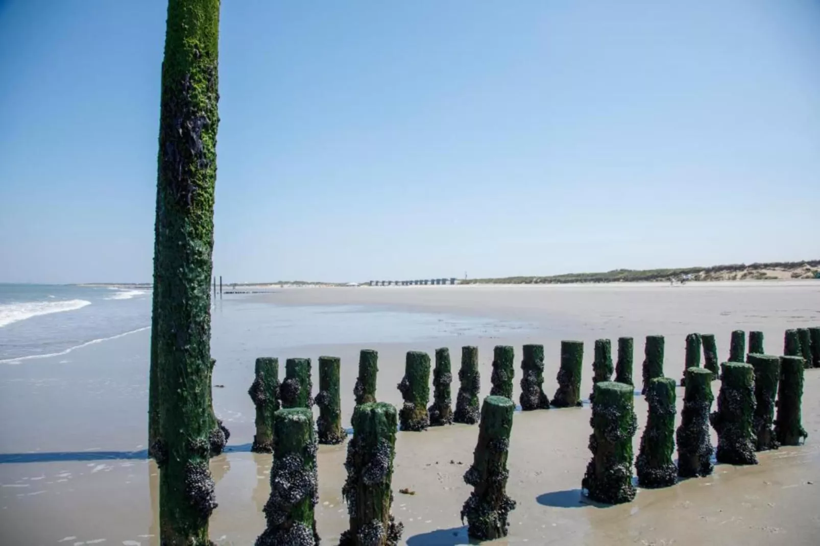 Beach Resort Nieuwvliet-Bad 7-Gebieden zomer 20km