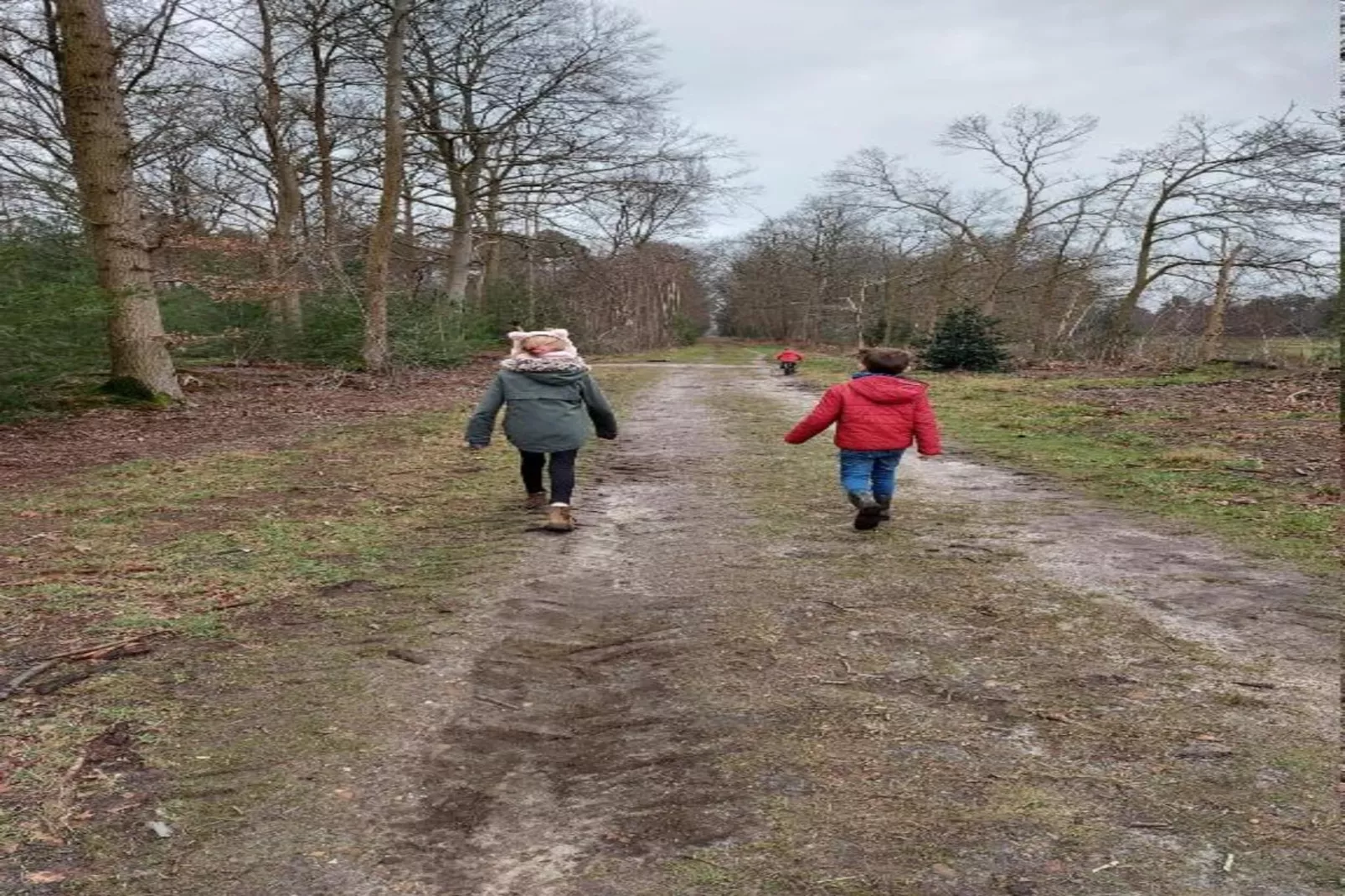 Parc de Kievit 6-Gebieden zomer 20km