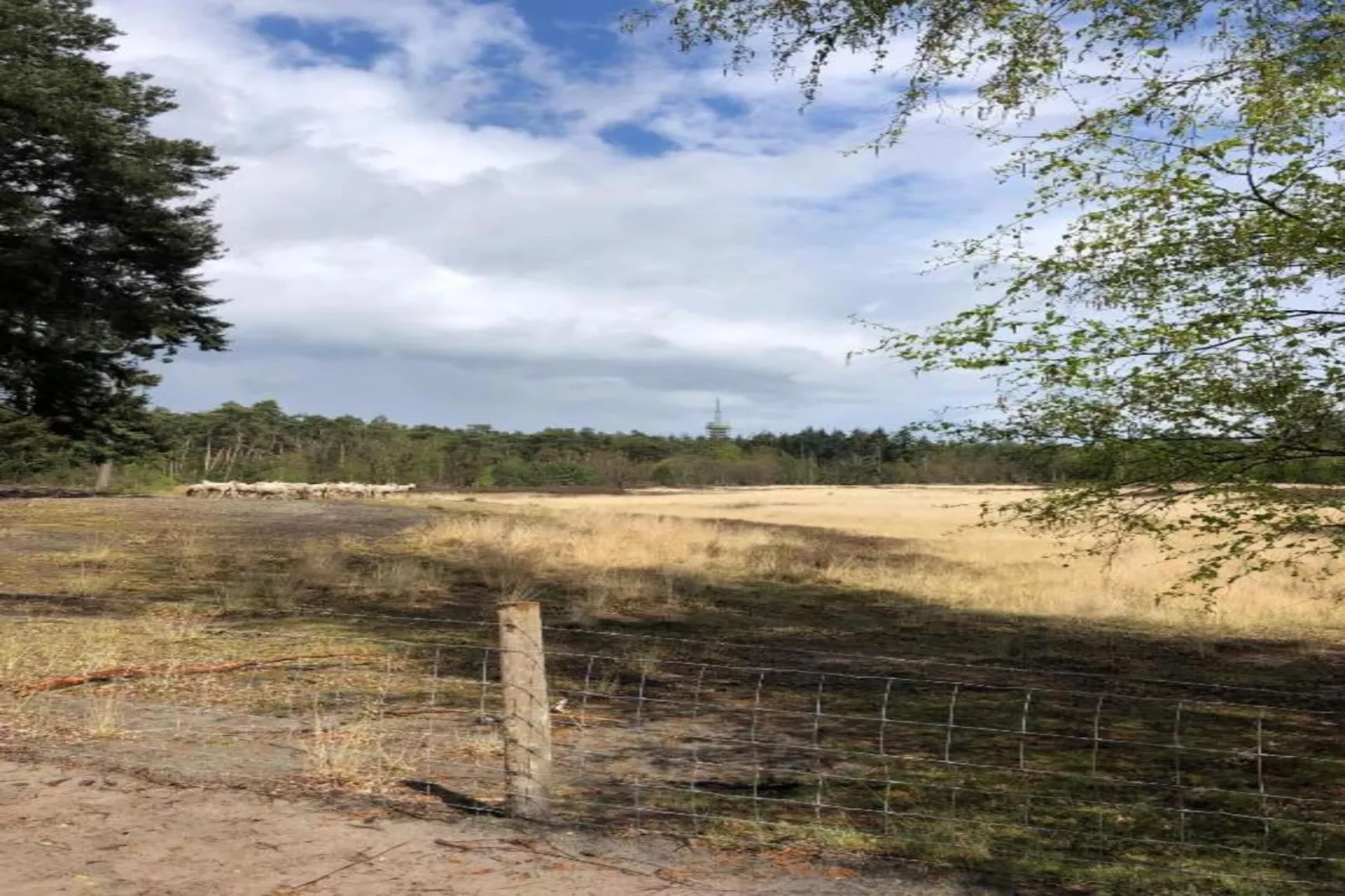 Bospark 't Wolfsven 15-Gebieden zomer 5km